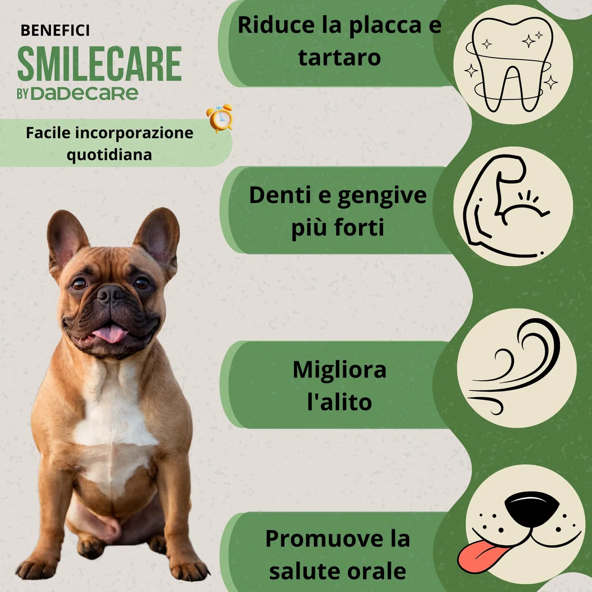 Smilecare - Polvere per alito cattivo 220 g alga Kelp - Alternativa naturale per cani e gatti, migliora il respiro, riduce il tartaro, prevenzione problemi dentali - senza spazzolatura quotidiana