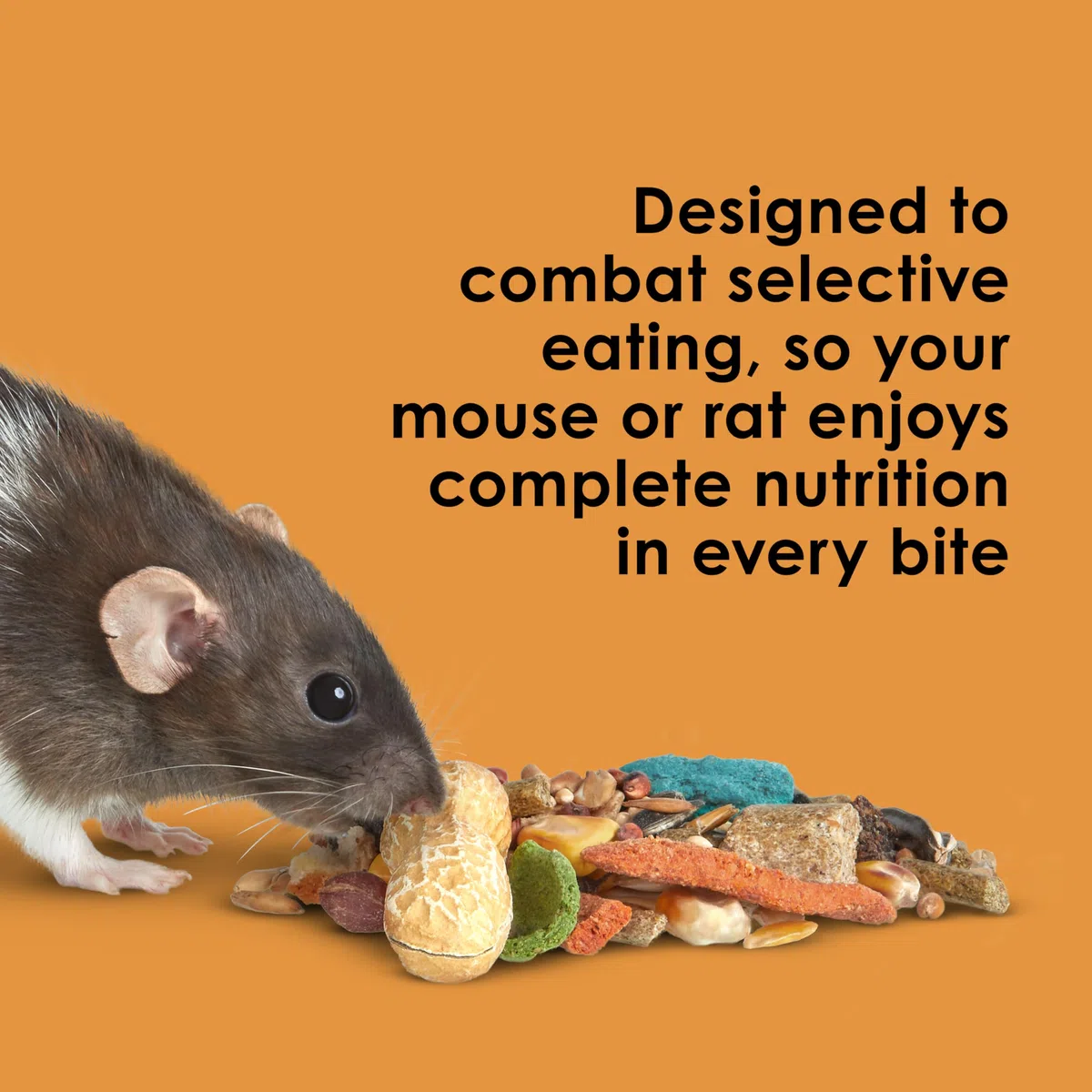 Kaytee Products Food Fiesta for Mouse And Pet Rats Gourmet Variety Diet 4 lbs