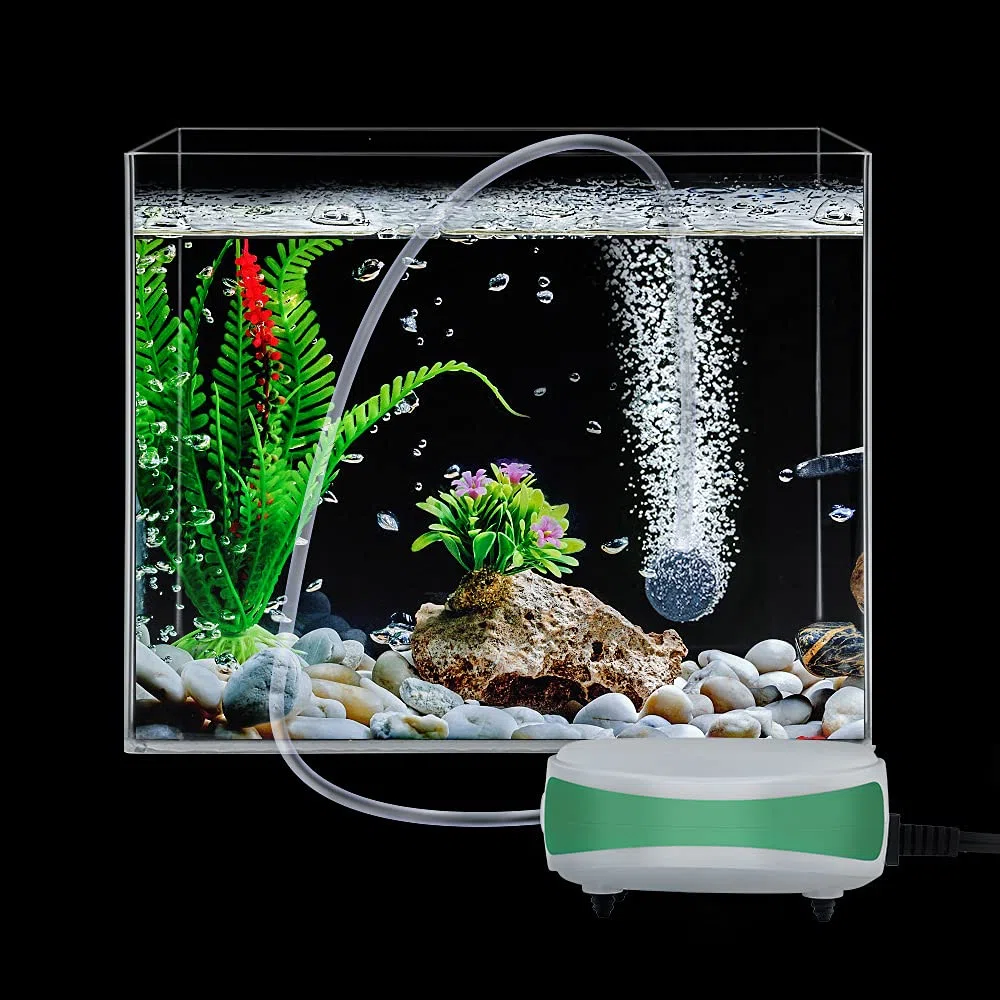 Ossigenatore Per Acquario Mini, Aeratore Silenzioso Per Acquario, Pompa di Ossigeno Silenziosa Con Uscita Singola e Accessori Per Acquario da 1 Litro 40 Litri