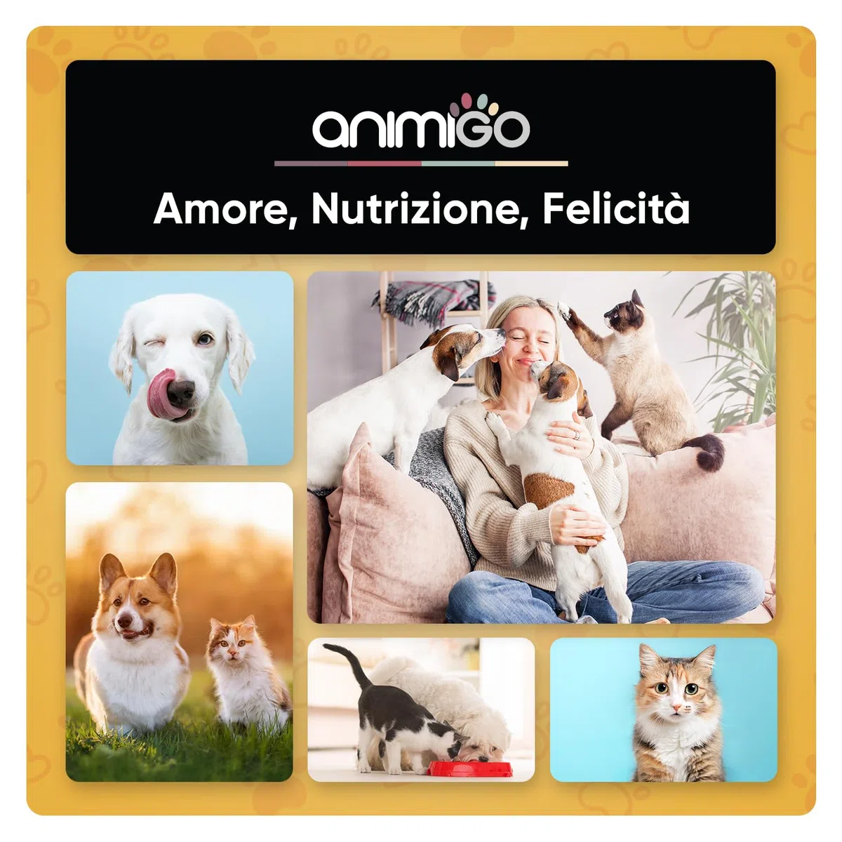 Pulizia Denti Cane e Gatto 350g in Polvere con Dosatore, Antiplacca e Antitartaro, Comoda Alternativa al Dentifricio per Cani Senza Risciacquo per Alitosi Gatto Cane, Sciogli Tartaro per Cani e Gatti