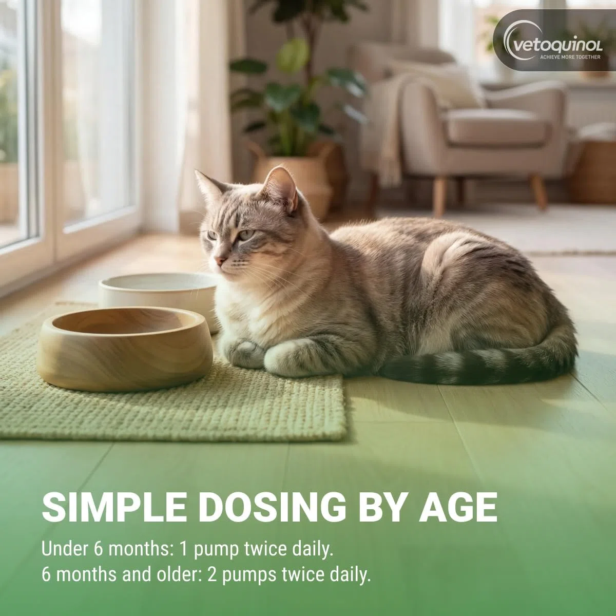 Enisyl Enisyl-F Paste For Cats 100ml by Vetoquinol