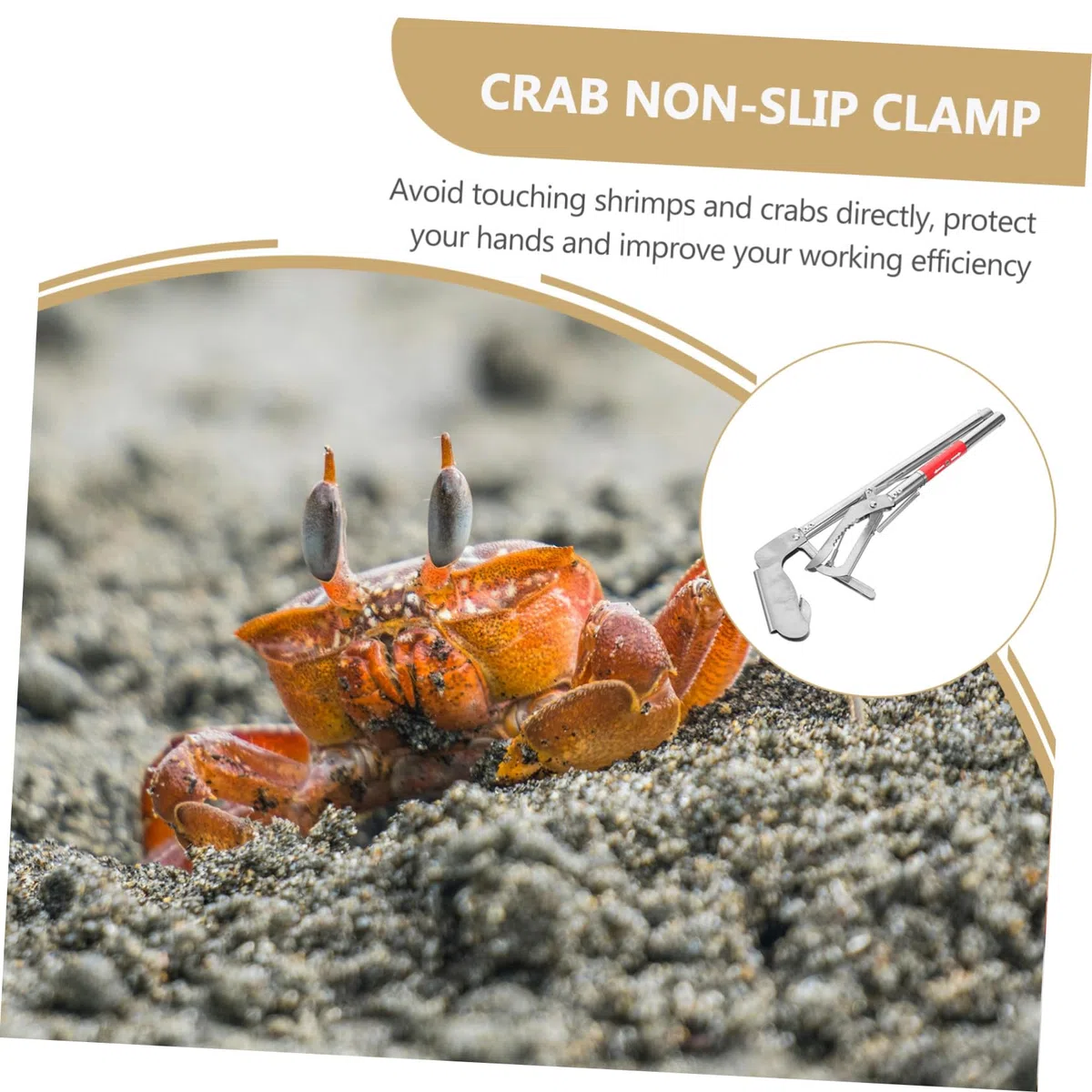 Toddmomy Pinza in per e Granchio con Mascella Larga Antiscivolo e Resistente Allusura Strumento Multifunzionale per Loach e Rifiuti Design Sicuro per Mani Protette