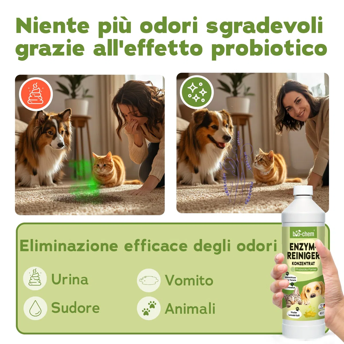 Bio-Chem - Detergente enzimatico concentrato 1L + flacone di miscelazione - Combatte gli odori ostinati e le macchie - Azione probiotica naturale per tappeti, tessuti e superfici