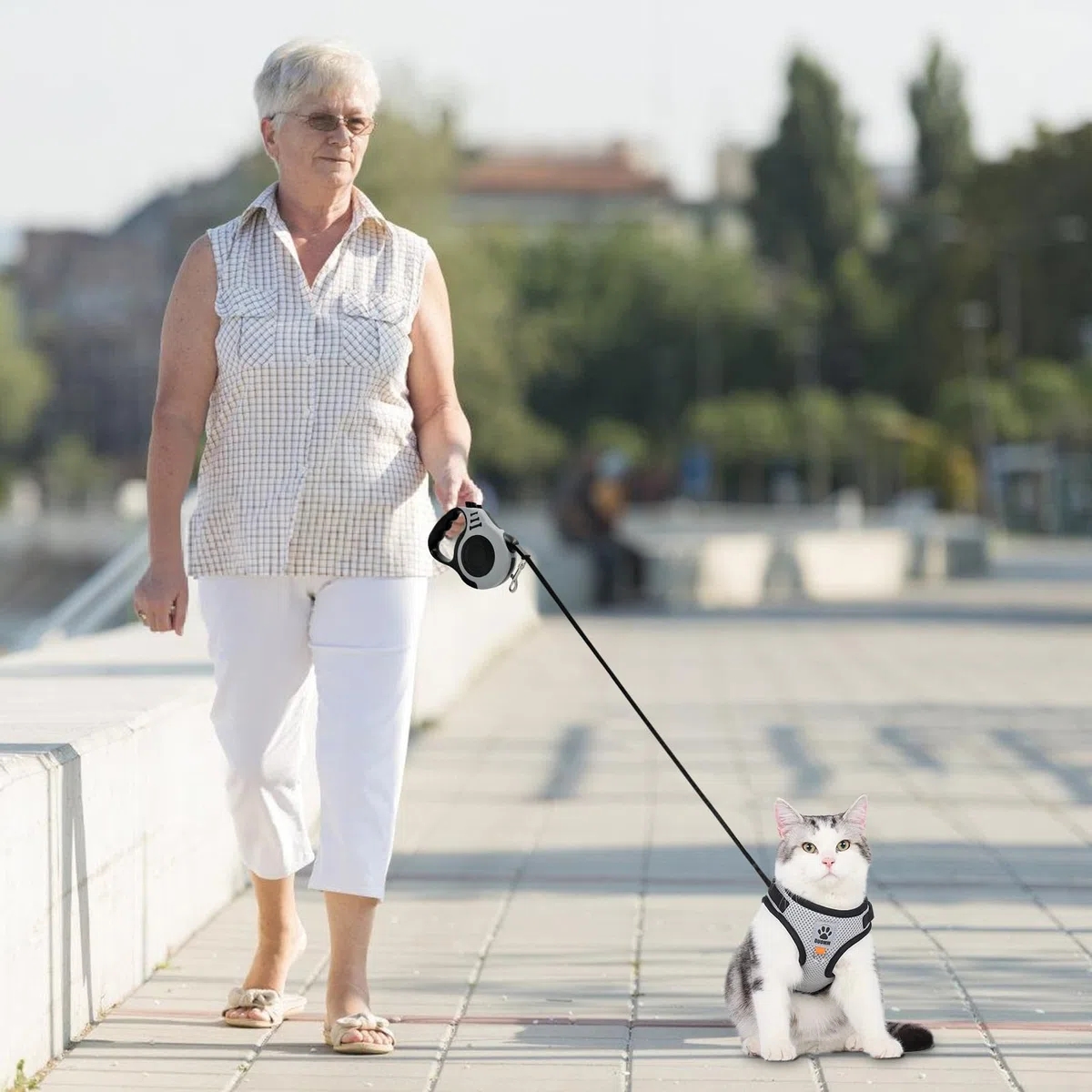 Set Guinzaglio e Pettorina per Gatti: Guinzaglio Retrattile Automatico da 5 m, Grigia Pettorina Antifuga Traspirante per Cuccioli (S)