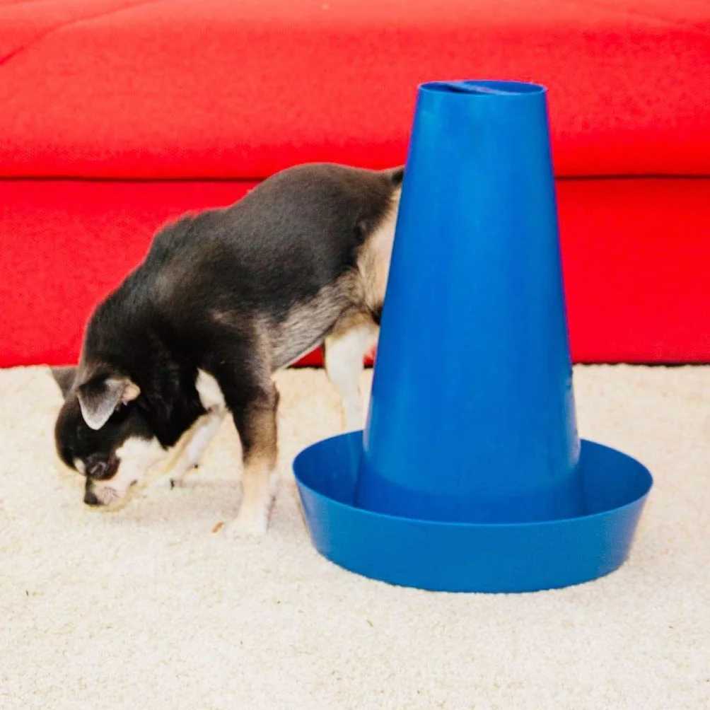 PIPPI Cono Cane WC Vasino DogToilette Pet Lettiera Traversine Dogs Tappetini Colonna Orinatoio Animali Maschi Accessori Nuova Generazione Traversine tappetini BLU