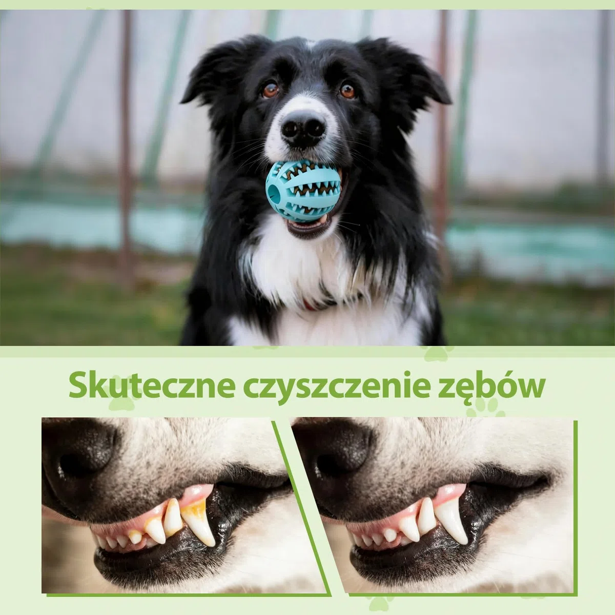 DEWEL Palla per cani giocattolo interattivo per cani giocattolo dispenser per dolcetti per animali domestici palla dentale indistrut tibile palla per la pulizia dei denti (Blu-Verde, 7CM-2PCS)