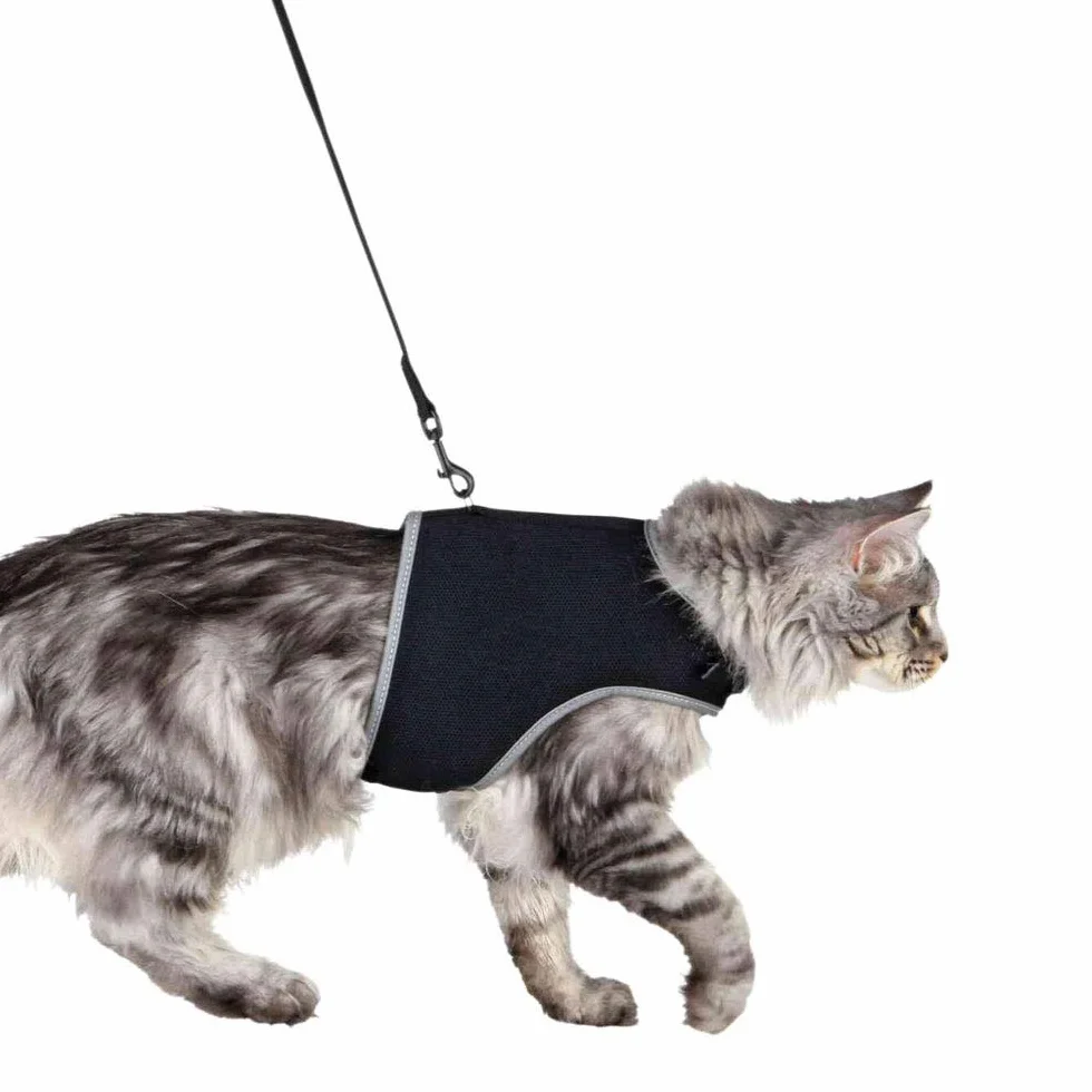 TRIXIE Pet Products 41895 - Pettorina Morbida con guinzaglio per Gatti