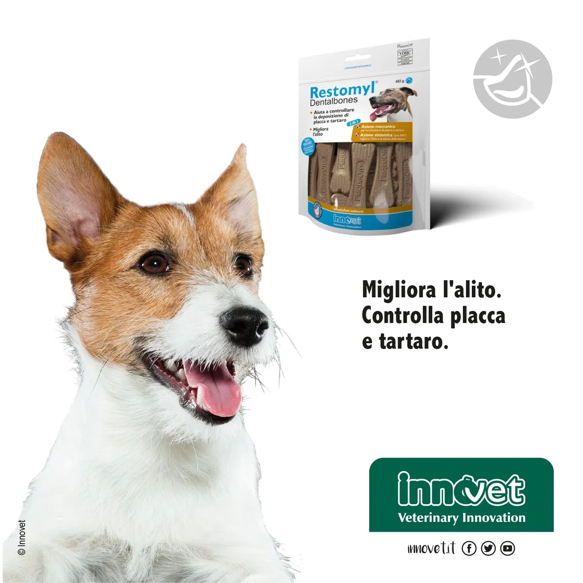 Restomyl Dentalbones per Cani - Supporto Nutrizionale, Migliora l'Alito e Aiuta a Controllare la Formazione di Placca e Tartaro - Pratici Ossetti Masticabili