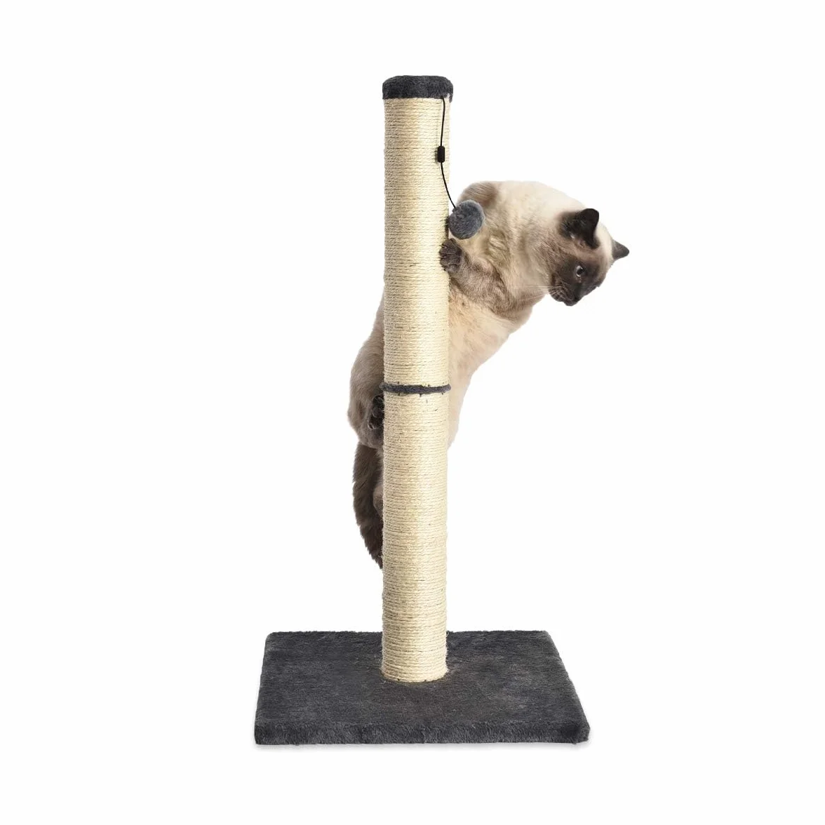 Amazon Basics Tiragraffi per gatti da interno, standard, con giocattolo pendente, 80 cm, grigio