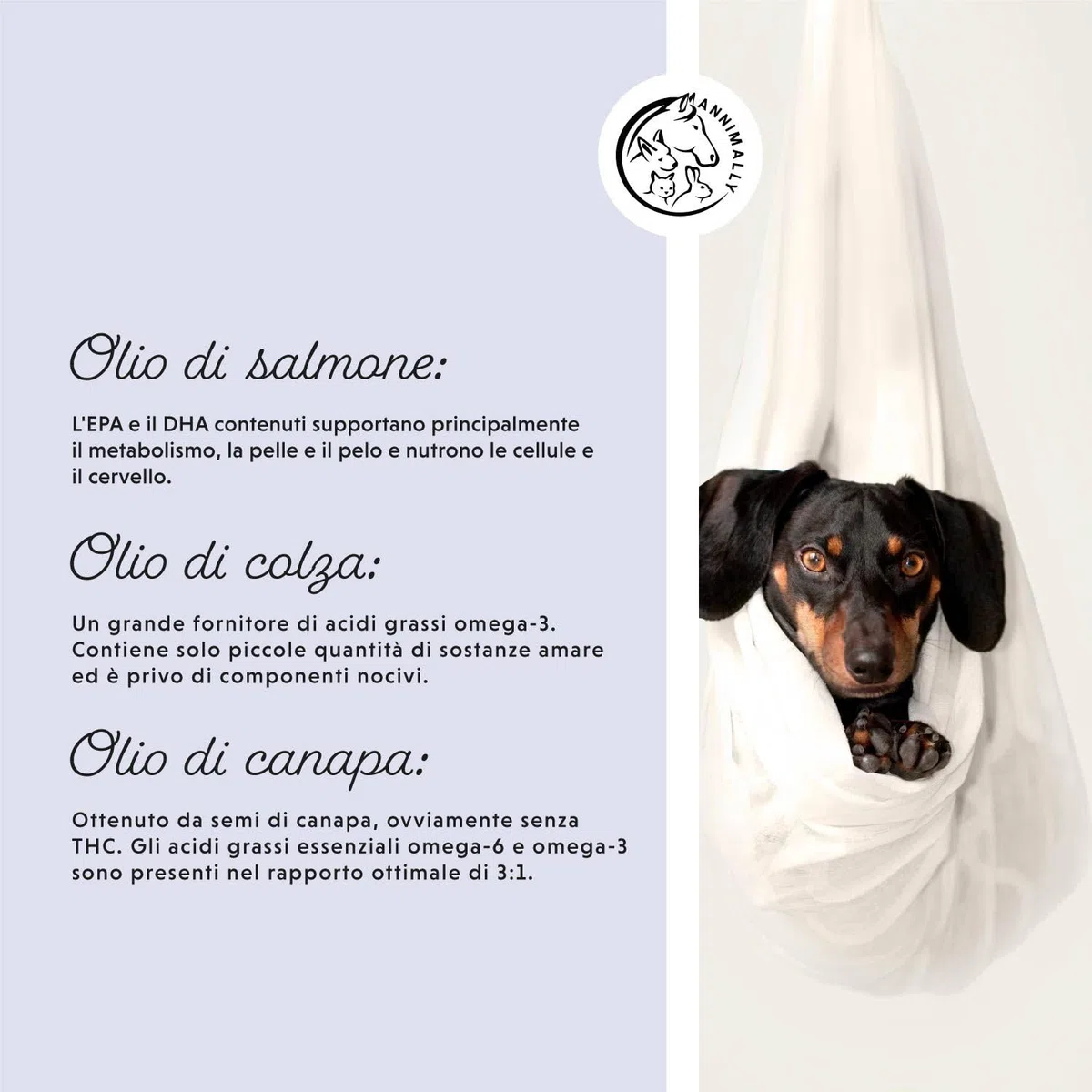 Olio BARF per cani 500 ml Olio Barf con Omega 3-6-9 composto da: olio di salmone, olio di colza, olio di canapa e olio di borragine - olio per alimentazione canina da utilizzare come condimento