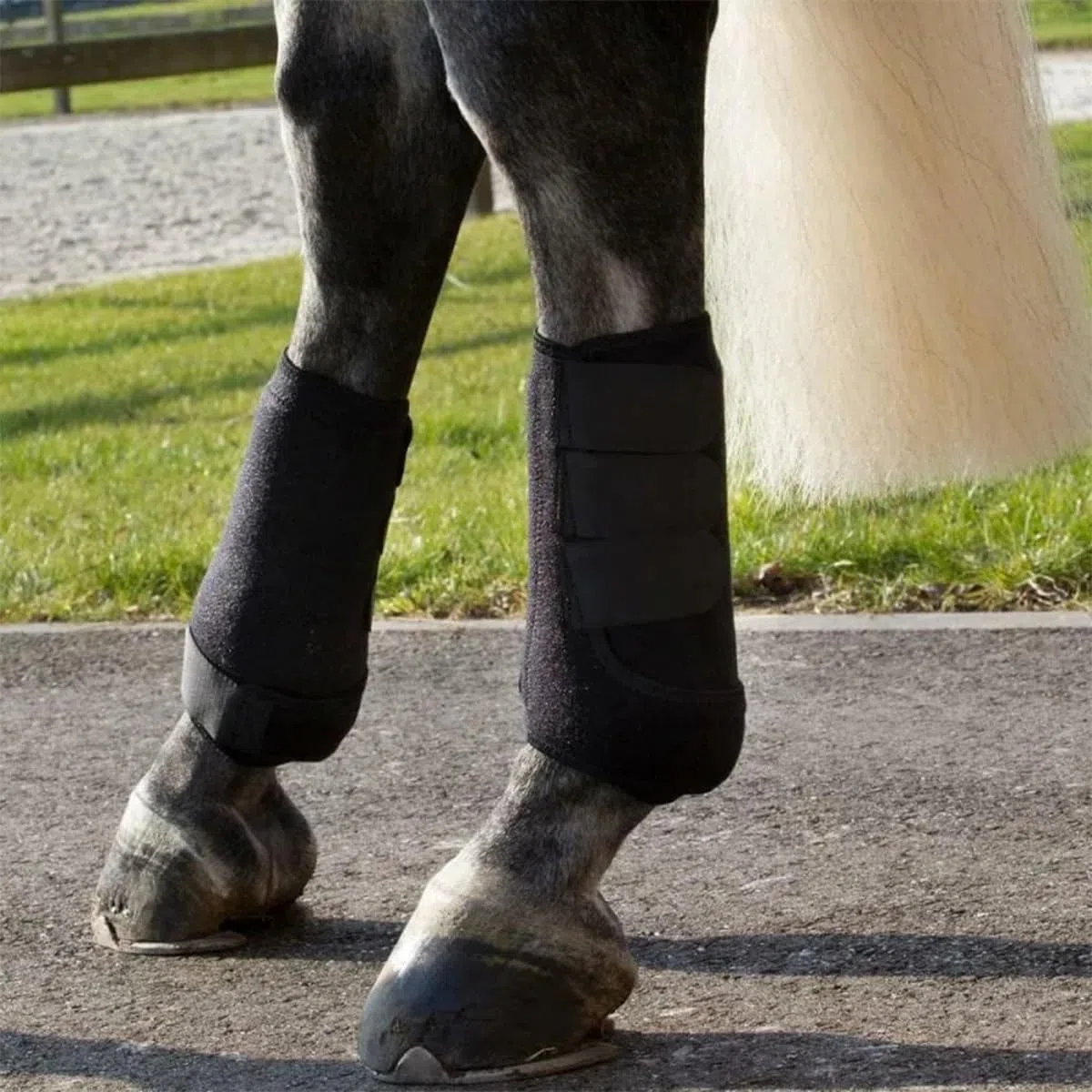 Sarini Set di 2 Protezioni per Le Zampe Posteriori del Cavallo, paratendini, Protezioni per Cavalli, Protezioni per Cavalli e Protezioni Antiurto per Attrezzature da Allenamento