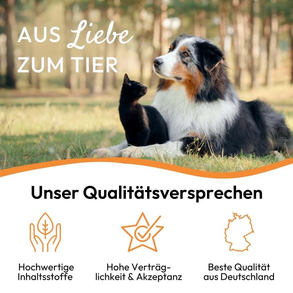 PHA Verme Gocce per Cane e Gatto – Trattamento naturale di vermi per Gatto e Cane, Agente per vermi secondario, Alternativa alle infestazioni da vermi, con vermi, achillea, timo, gocce da 50 ml
