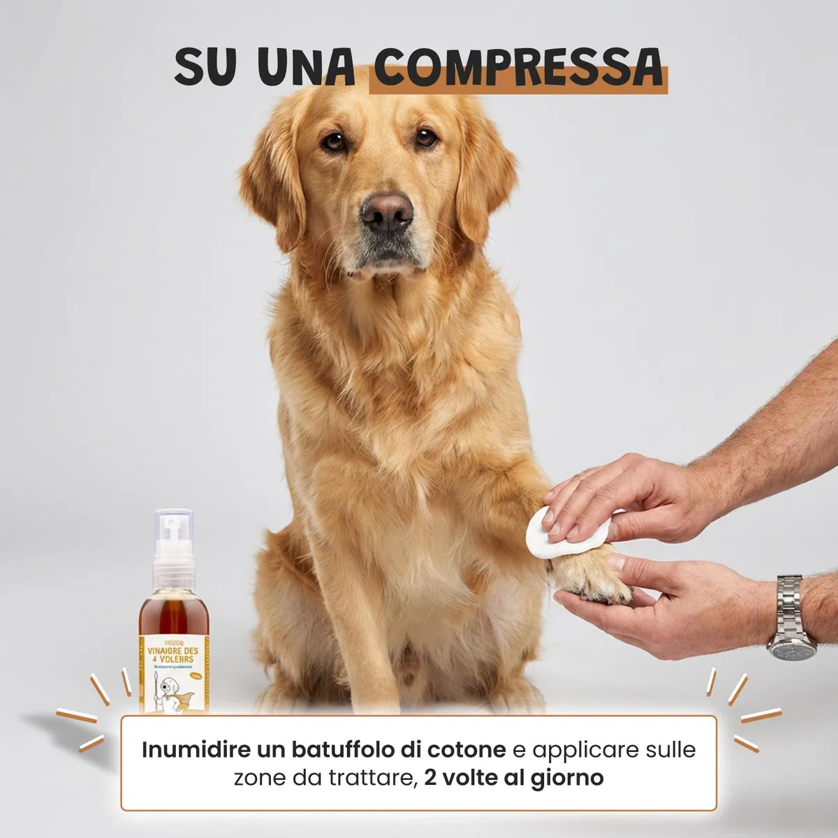 Museau & Co Aceto dei 4 Ladri Spray 250ml per Cani e Gatti | Antiparassitario Naturale Pulci & Zecche | Antibatterico, Antifungino & Repellente Insetti | Senza Pesticidi