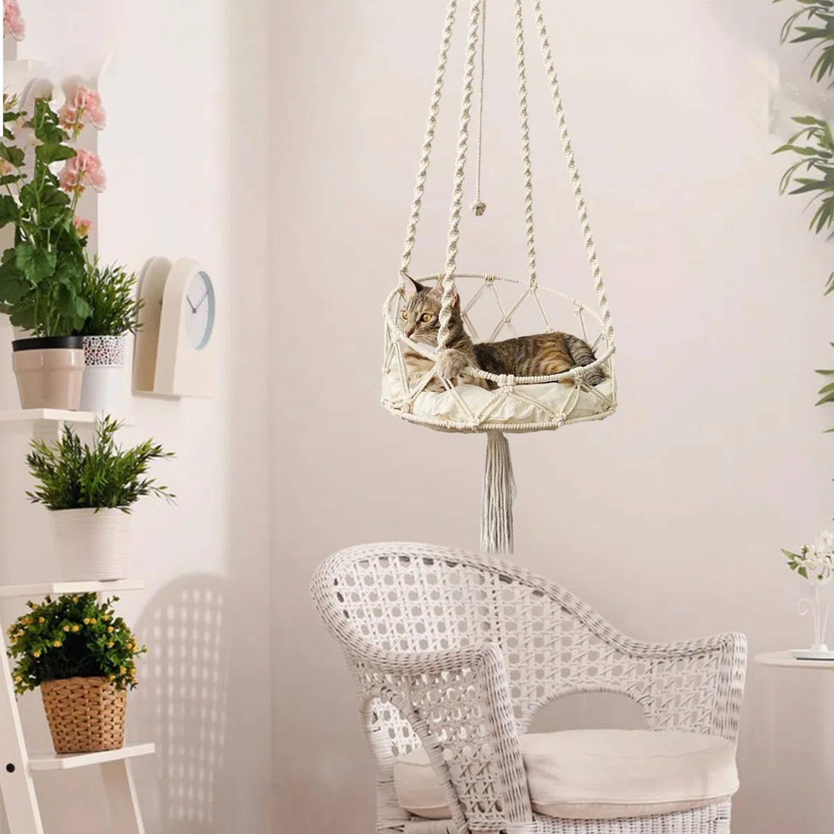 40x90cm Cuccia A Dondolo Per Gatti Amaca Per Gatti Appesa A Cesto Lettino Con Gancio E Cuscino Rimovibile Per Giardino Terrazza Interno