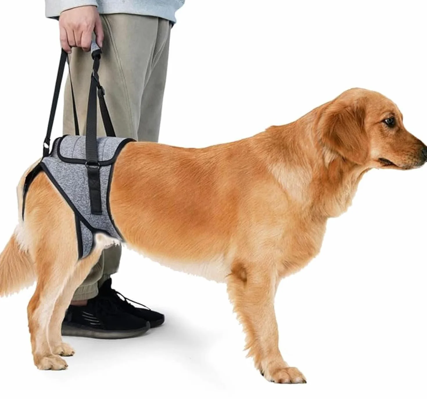 Imbracatura di sollevamento taglia, Imbracatura per Cani per Zampe Posteriori, Cintura Ausiliaria Imbracatura Cane Zampe Posteriori per Cani Anziani Disabili E Feriti (XL)