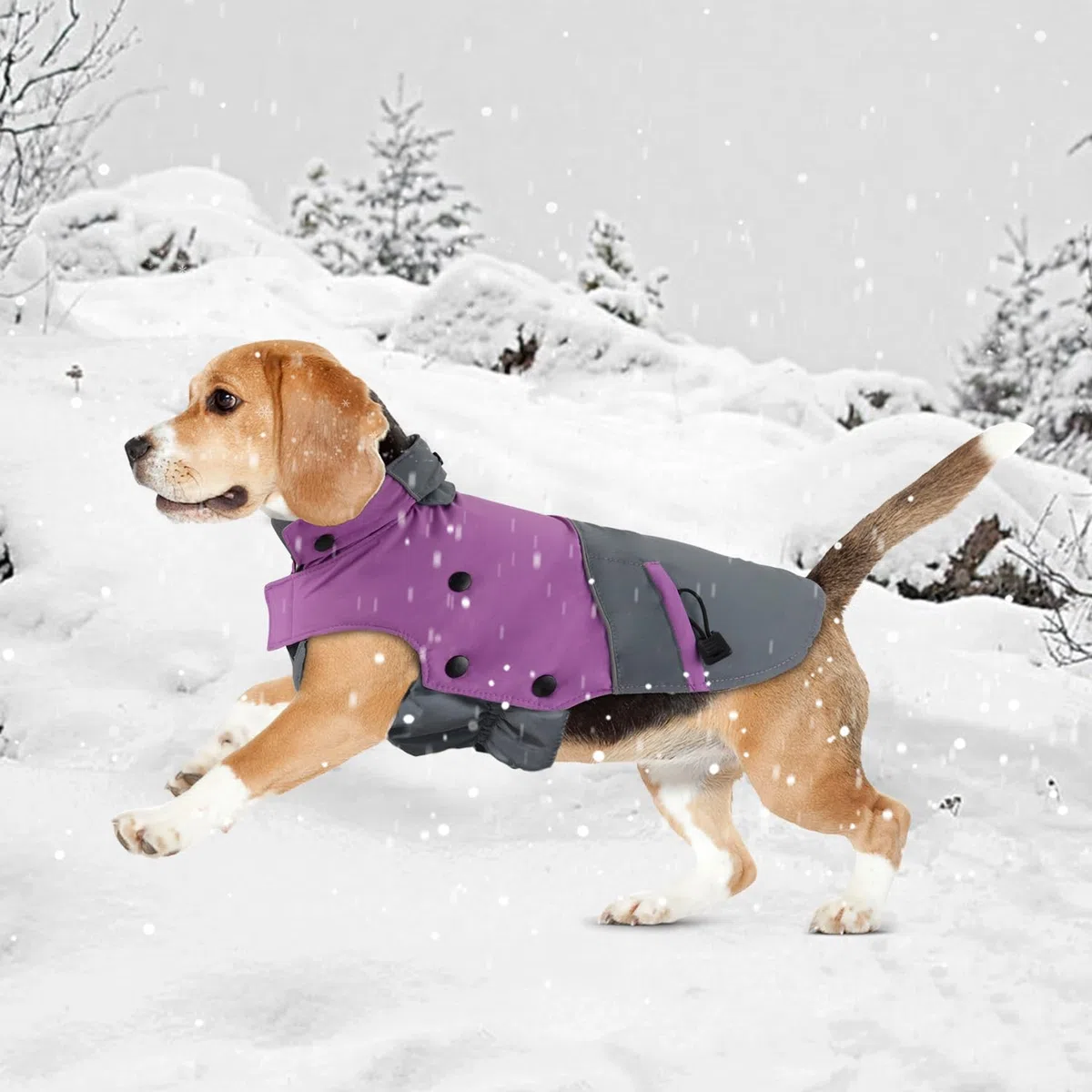 PETLOFT Giacca Invernale per Cani, Resistente Cappotto Invernale Riflettente con Fodera in pile Rimovibile