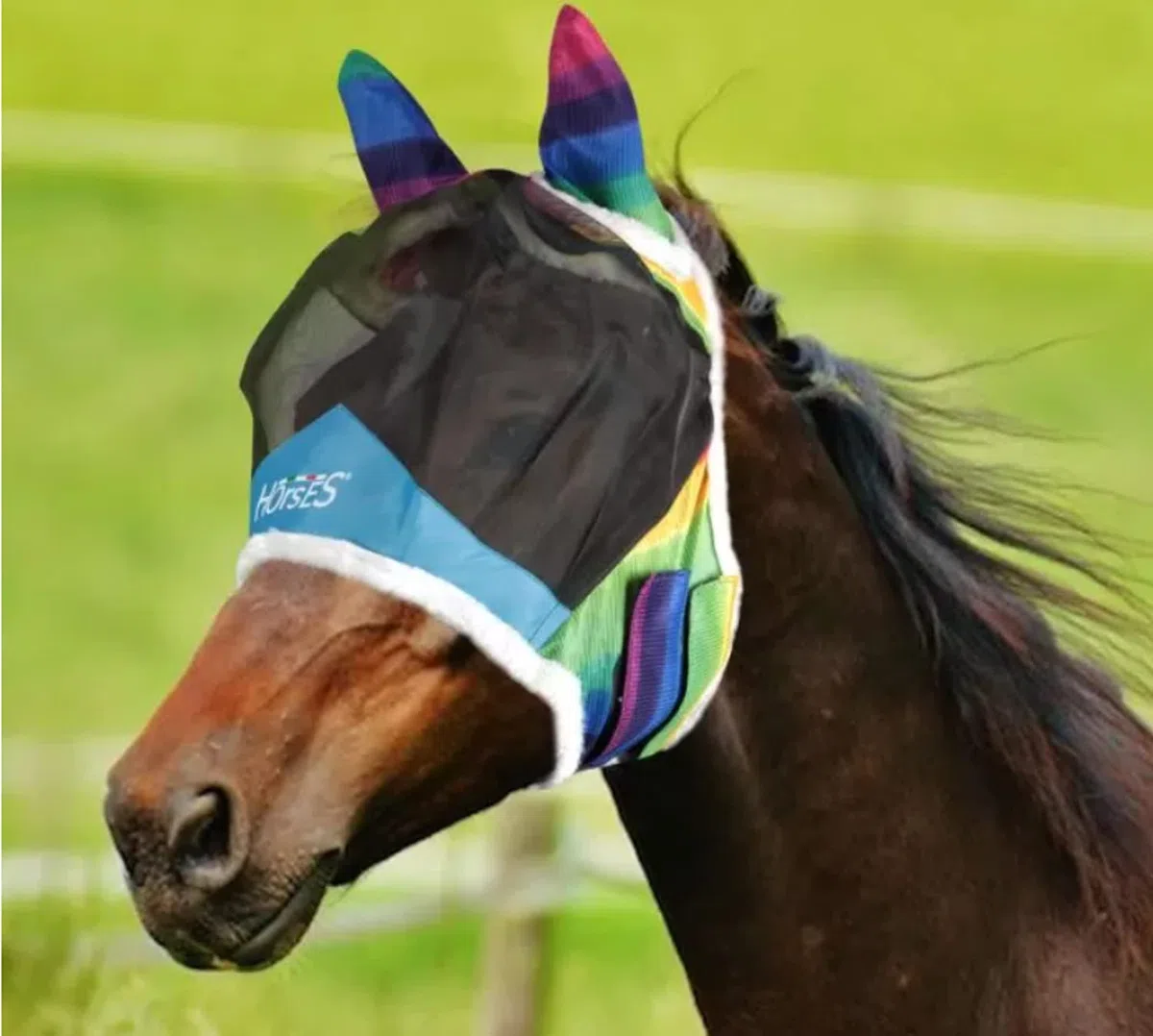 Horses Maschera Antimosche Fly Shield Rainbow, Leggera e Traspirante, Non Ostacola Il Campo Visivo del Cavallo, Protezione di Occhi e Orecchie