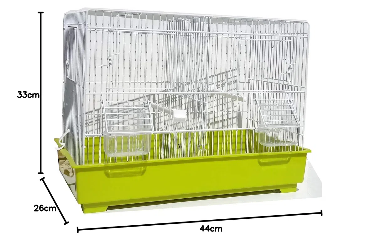 Domus Molinari Gabbia Cova per Uccelli Canarini Allevamento Riproduzione Cocorite Bengalini in Metallo Verniciato Bianco e Fondo in Plastica 44 x 26 x 33 cm