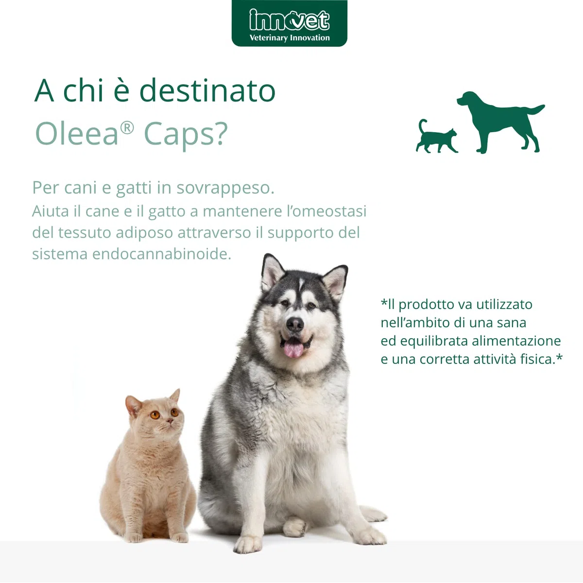 Oleea - Formulazione Liquida, 60 ml - per la Salute del Cane e del Gatto in Sovrappeso o Obeso - Protegge dai Danni Legati all'Eccesso di Grasso Corporeo