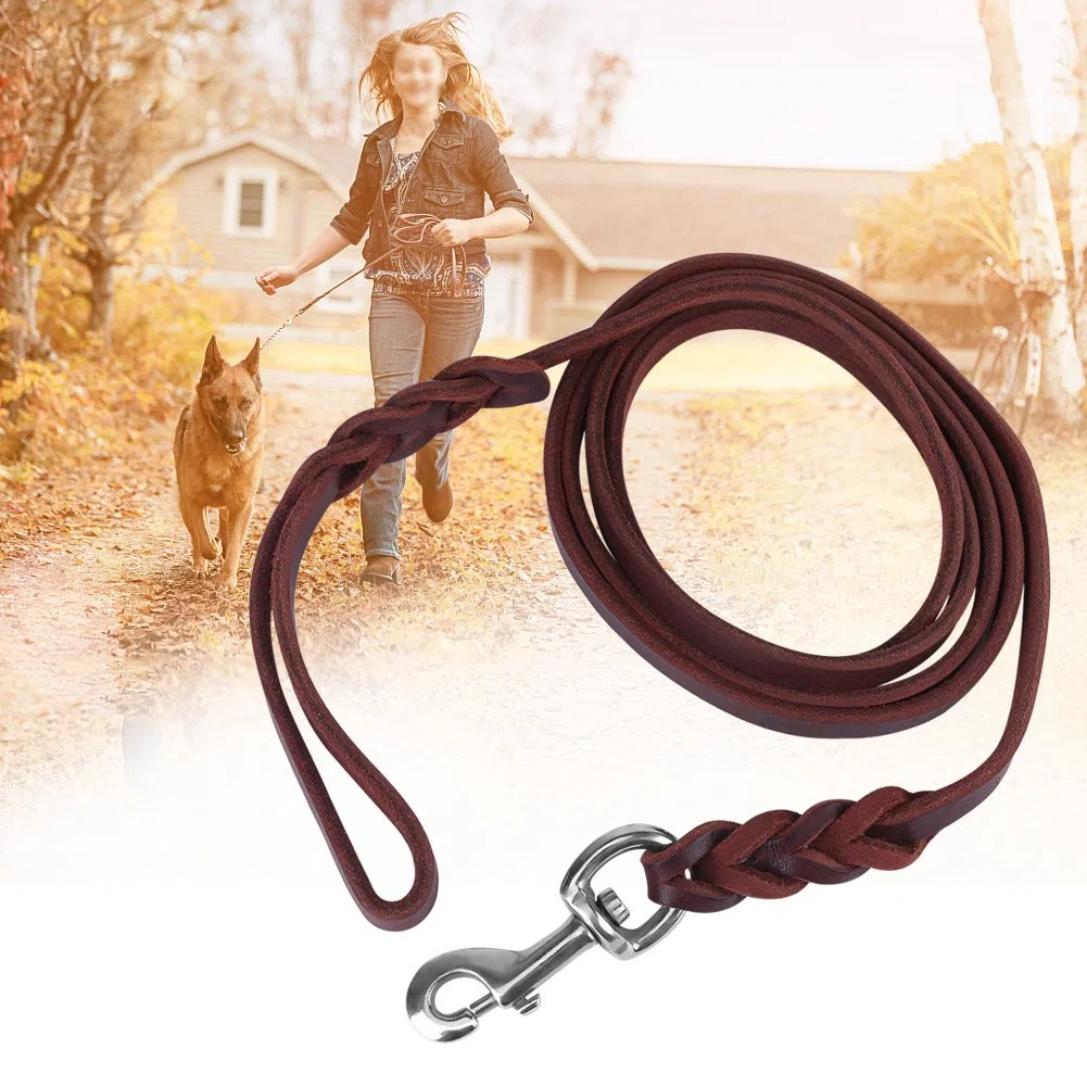Guinzaglio Cane Per Correre a Mani Libere Per Animali Domestici Ploopy Guinzaglio Per Cani Con Elastico Da Jogging Running Dog Leash Guinzaglio Per Cani Senza Mani (1.6M)