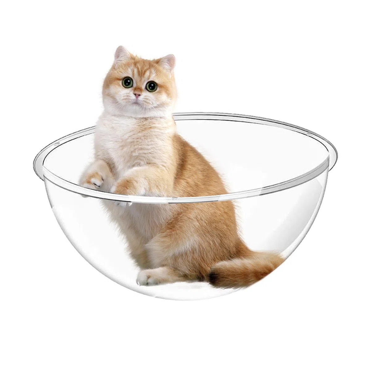 Lettino Per Gatti A Cupola In Acrilico | Lettino Per Gatti Da Interno In Acrilico Trasparente | Antigraffio Senza Odori Per Razze Piccole E Grandi Per Dormire E Riposare