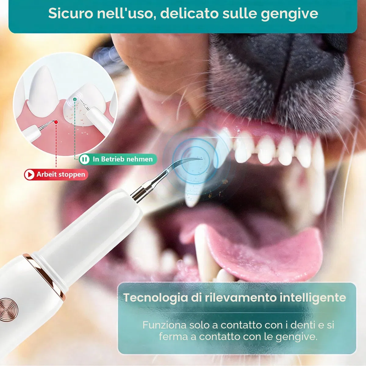 FIVAVA Pulizia Denti Cane, Pulizia Denti Tartaro per Cani e Gatti, Kit Pulizia Denti, 5 Modalità di Pulizia, Rimuove il Tartaro, Ricaricabile (Bianco)