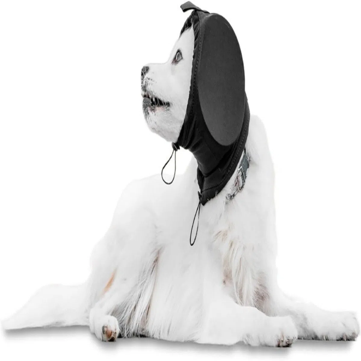 Cuffie Antirumore Per,Morbide Cuffie Antirumore Per Cani,Cuffie Per Cani, cuffie antirumore cane,Fascia Protettiva Per L'udito,Fasce Calmanti Regolabili Per Le Orecchie Del Cane Per Temporali
