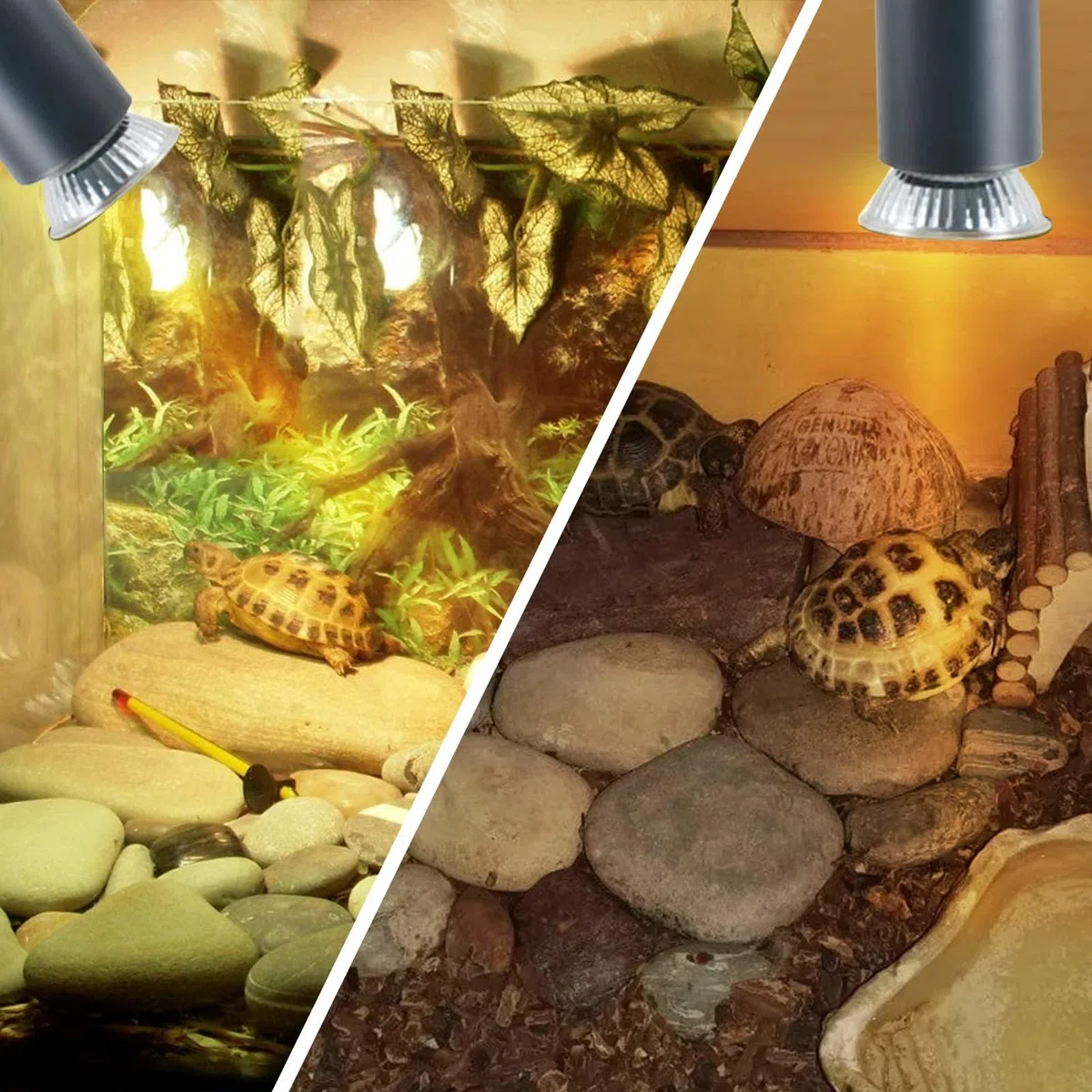 LUCKY HERP Lampada riscaldante per terrario, 25 W, 4 pezzi, UVA UVB, lampada alogena a tartaruga, E27 UVB Basking Spot lampada per tartaruga, barba, lucertole, serpenti