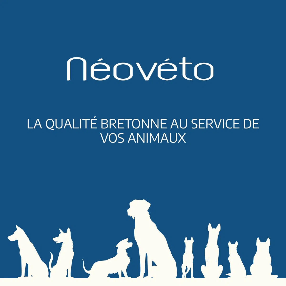 Anti tartaro e alito cattivo Néovéto Plaque Expert, prodotto biologico, per cani e gatti, Plaque Off, 180 dosi, Principi attivi approvati dai servizi veterinari francesi