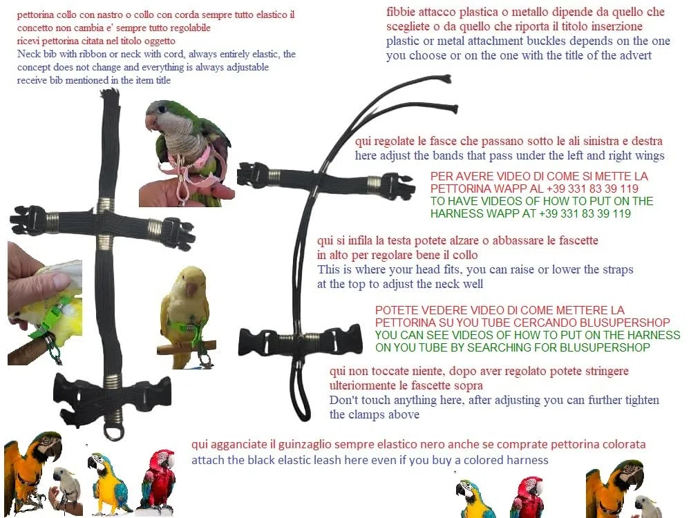 PETTORINA PAPPAGALLI PARROCCHETTO DAL COLLARE corda 3mm elastica nera al collo, fasce nastro 10mm, 2 attacchi,ACCIAIO SGANCIABILI REGOLABILI con GUINZAGLIO 1M xtutte le razze + amuleto