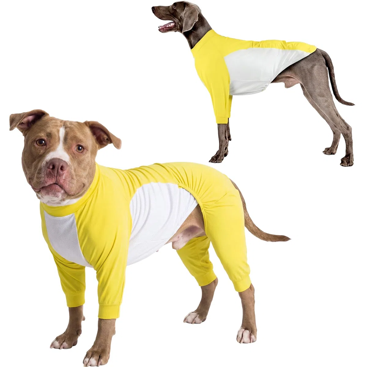 Pigiama Cane, Body Post Operatorio Anti-leccato Elastico Tutina Chirurgico con Copertura Totale a Rapida Asciugatura Ideale per Restare al Fresco d'estate(Giallo, XL)