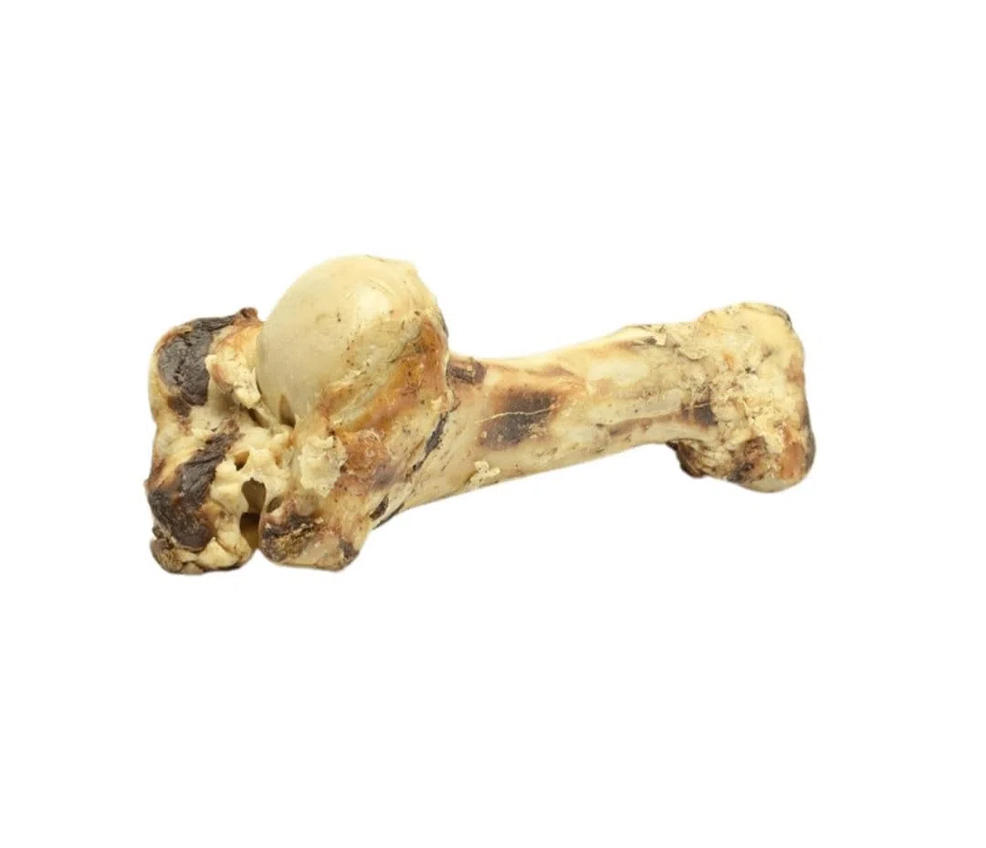 Osso di Vitello XL, 30-35 cm, Set da 3 Pezzi, Snack Naturale per Cani, Masticabile per Dieta Barf
