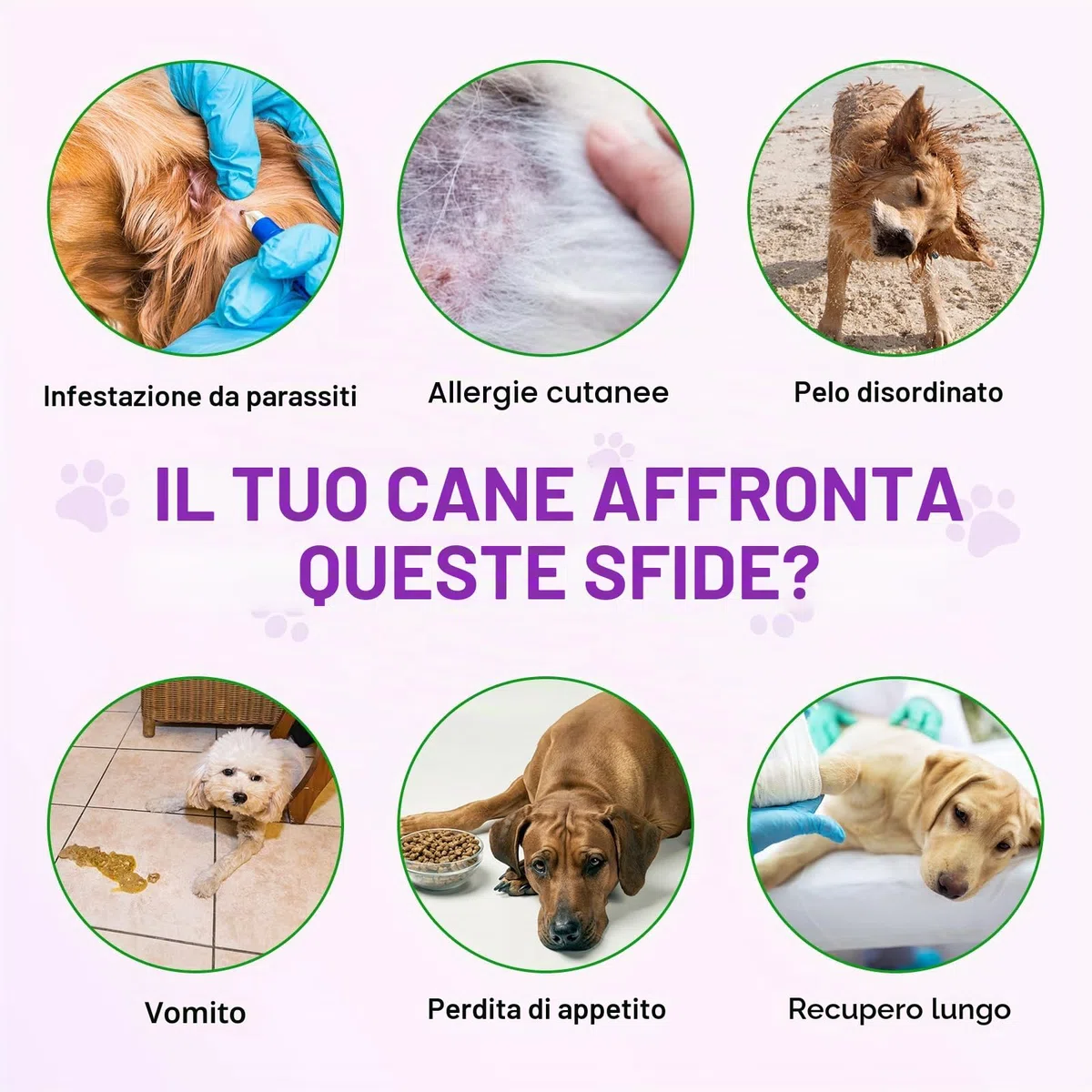 Allergie Relief Dog Treats,150 Pezzi Prurito per la Pelle del Cane Che Mastica, Smetti di Prurito, Leccare, Graffiare, Allergie Stagionali, per Tutte Le Razze e Dimensioni di Cani,Anatra