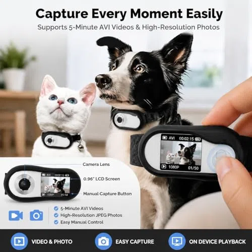 2024 Nuova Fotocamera per Collare per Gatti e Animali, Grandangolare 1080P 170°, Regolabile Ricaricabile USB HD, Autonomia: 2-3 ore