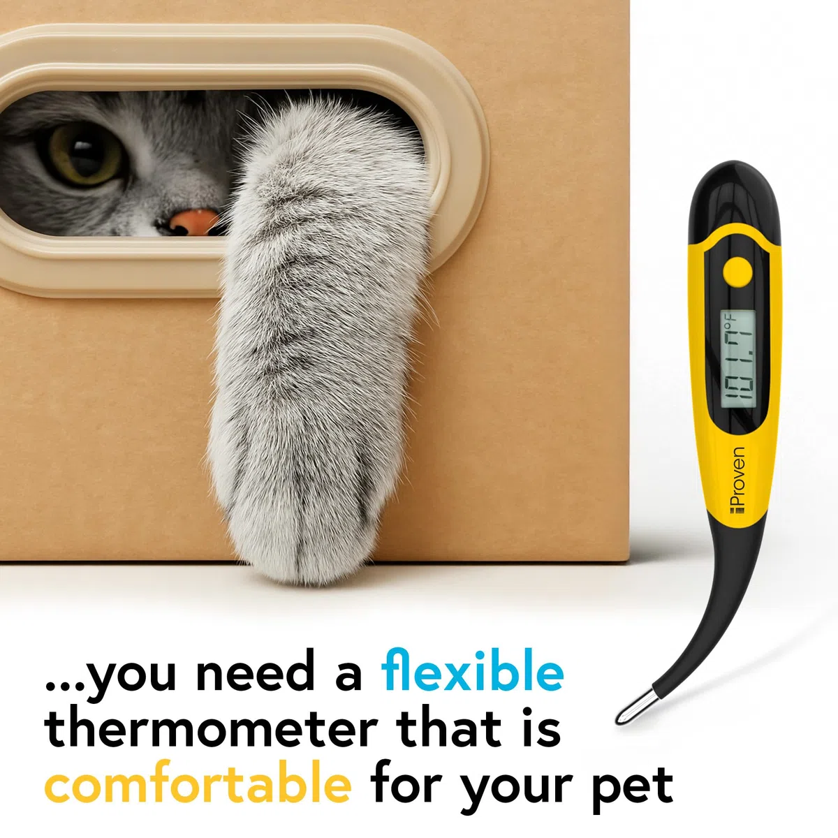 iProven Termometro per animali domestici (Termometro) per rilevamento preciso della febbre - Adatto per gatti/cani - Termometro impermeabile per animali domestici - Letture rapide termometro per gatti