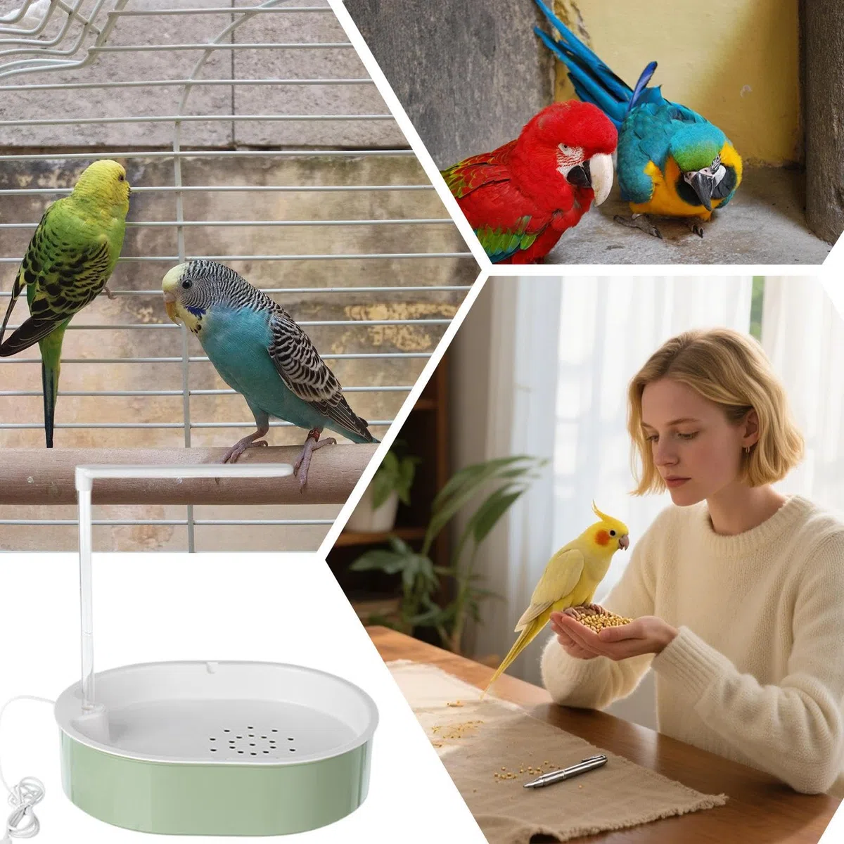 Doccia per pappagalli | Abbeveratoio automatico alimentato tramite USB, con pompa e acqua corrente per calopsitta, gabbia piccola e media, per esterni, interni, balcone, patio,