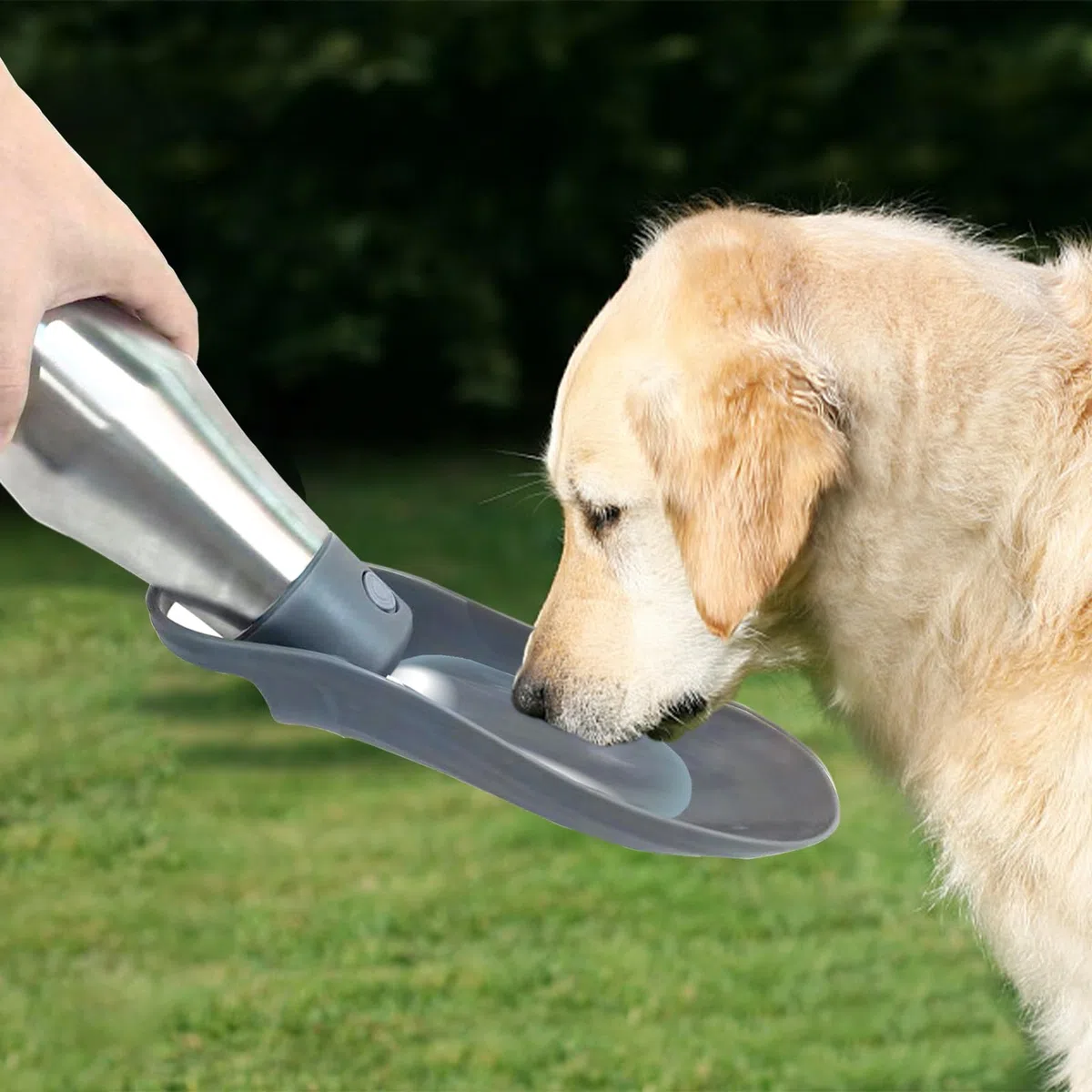 ZoneYan Borraccia Portatile per Cani 750 ml, Dispenser Acqua da Viaggio, Erogatore in Acciaio Inox a Prova di Perdite (Grigio)