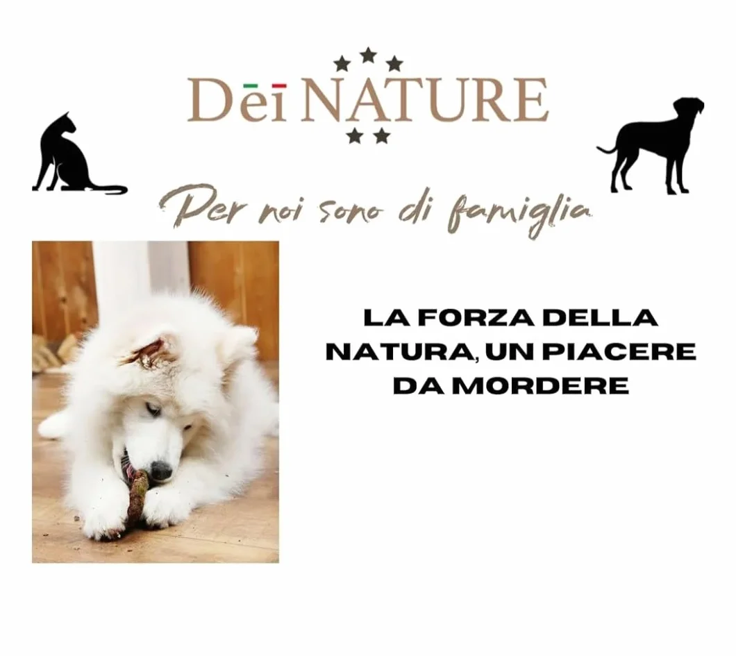 Esofago di Manzo Tondo per Cani, Masticativo Naturale per Pulizia Denti, 500g, Adatto per Dieta Barf