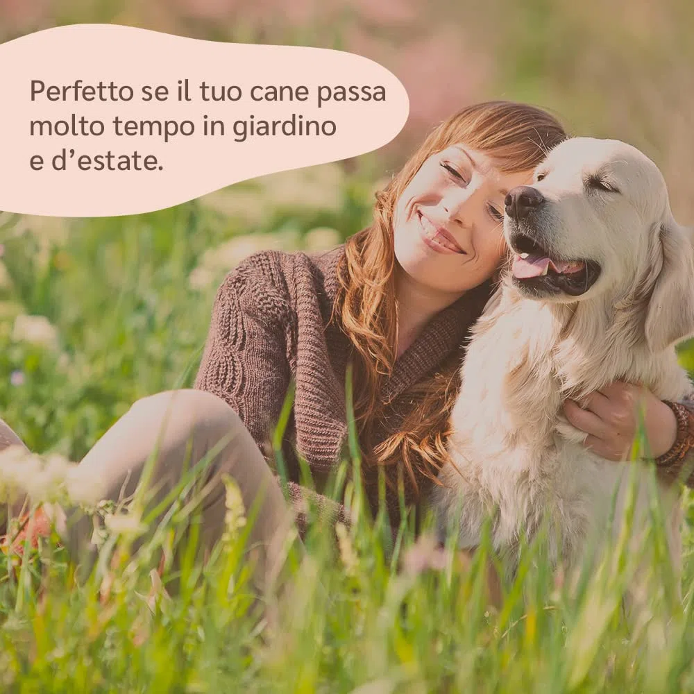 amusi Olio di Neem per Cani - 500 ml - Spray per cani - Protezione naturale - Spray contro zecche mosche acari pidocchi - Repellente zecche per cani - Olio neem cane 100% naturale