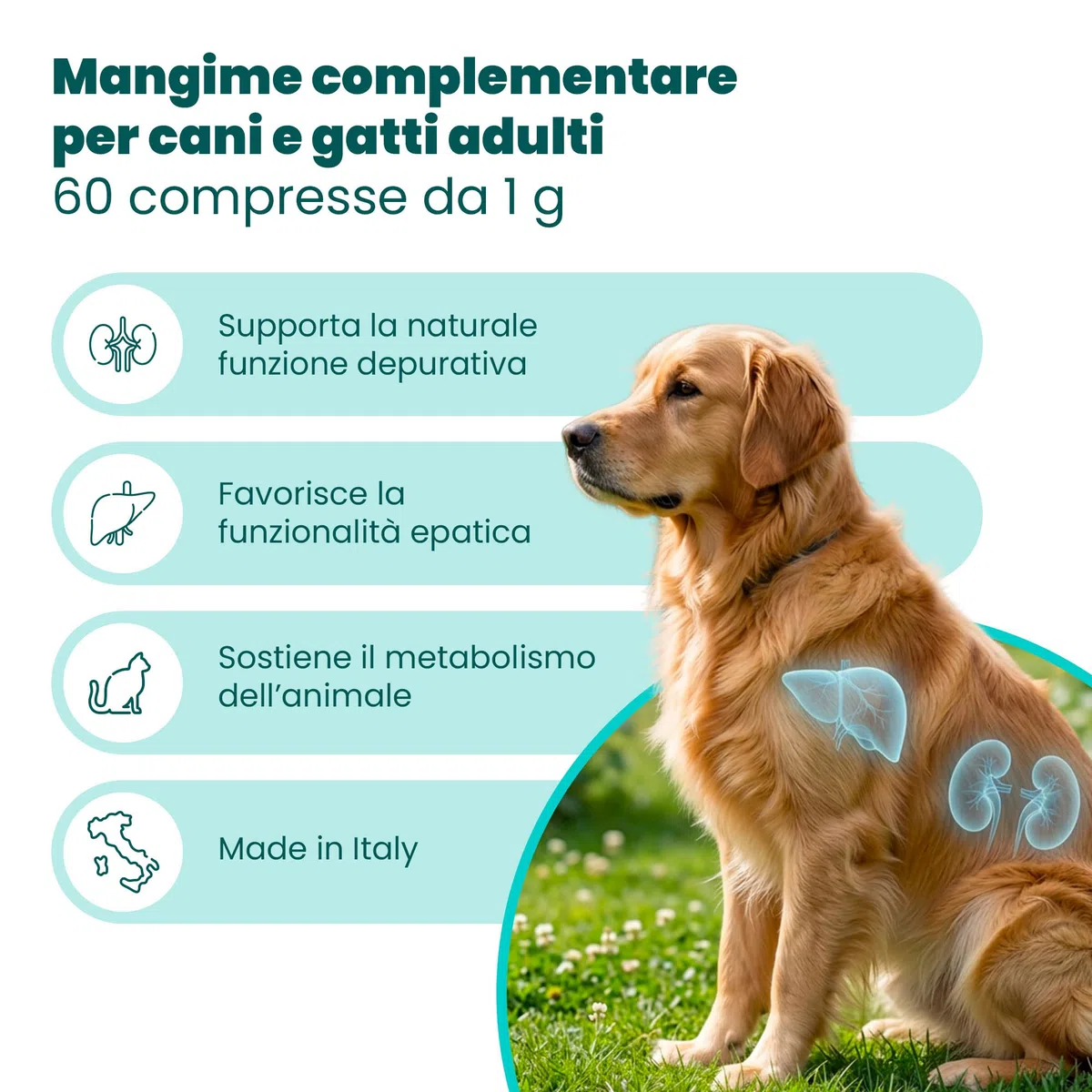 CAMON | Detoxivet Mangime Complementare per Cani e Gatti, Azione Depurativa e Disintossicante, Regola la Funzionalità Intestinale e Renale, 60 Compresse da 1g