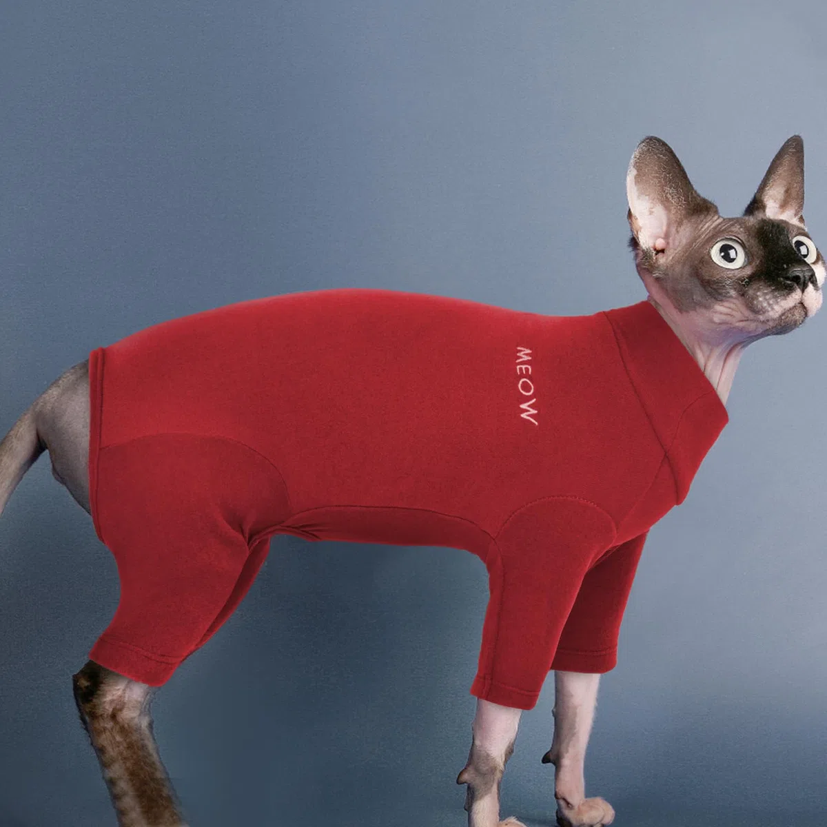 Maglione per gatti, tuta per recupero gatti, maniche lunghe e pancia aperta (rosso, M)