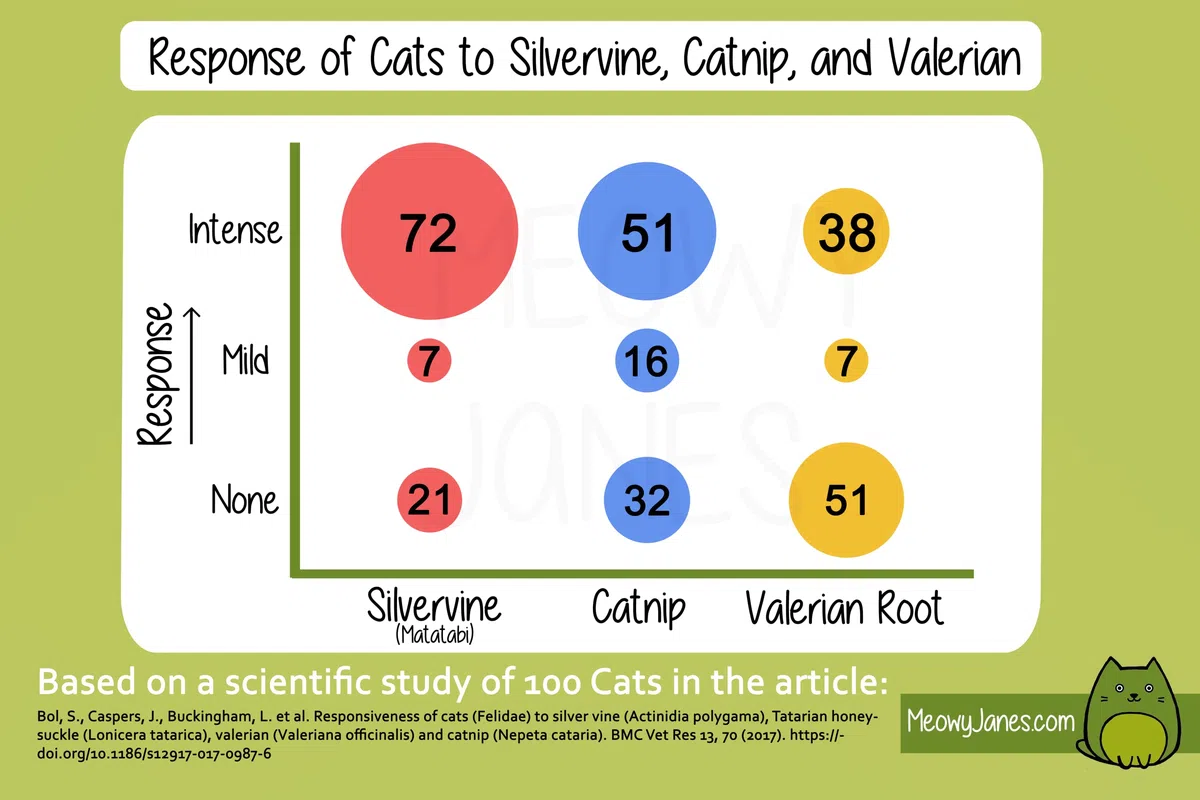Meowy Janes All Natural Magic Cat Play Polvere - Miscela di polvere di erba gatta e Silvervine - Giocattolo per gatti a secco