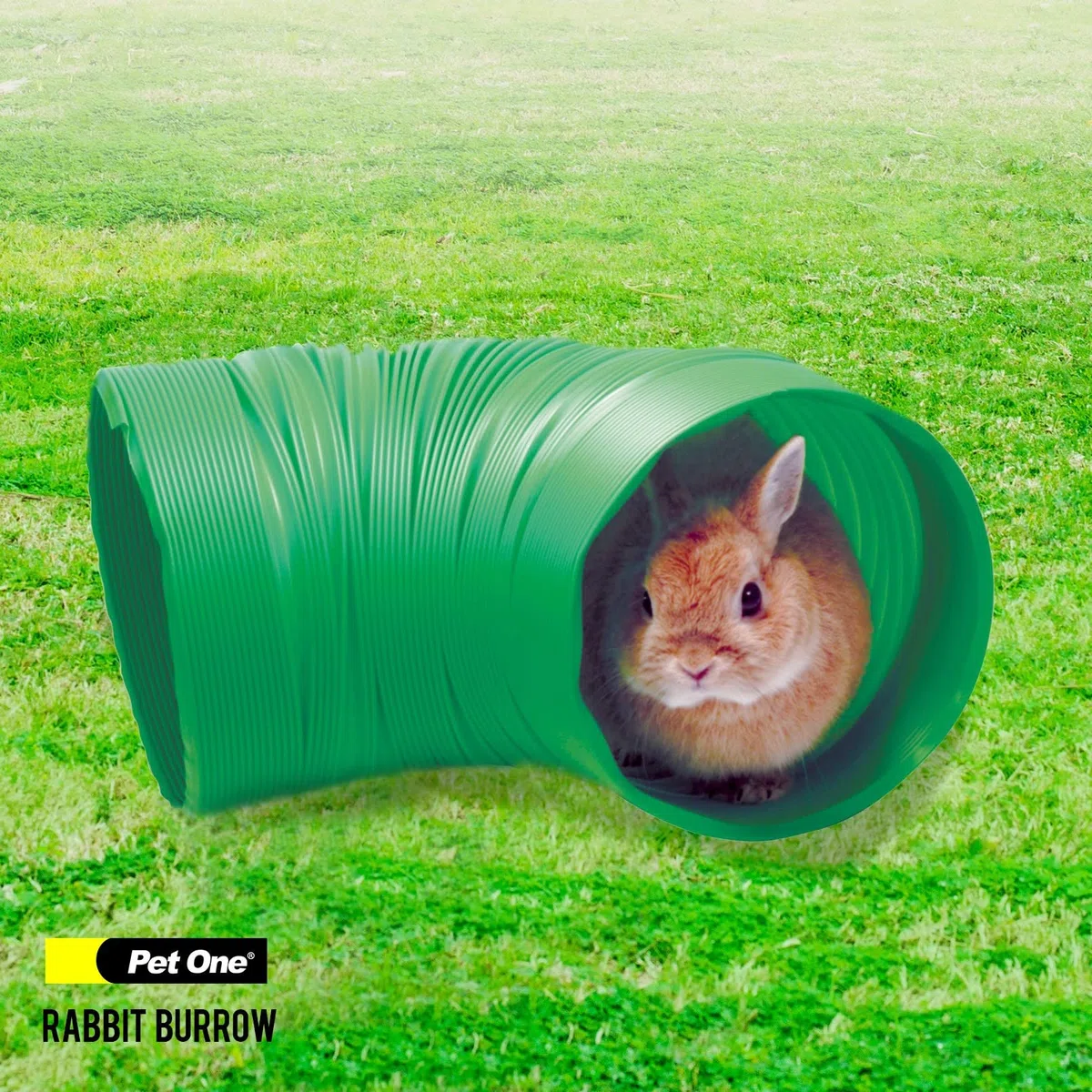 Pet One Tana a tunnel verde per conigli, porcellini d'India e furetti, diametro 20 cm x 80 cm