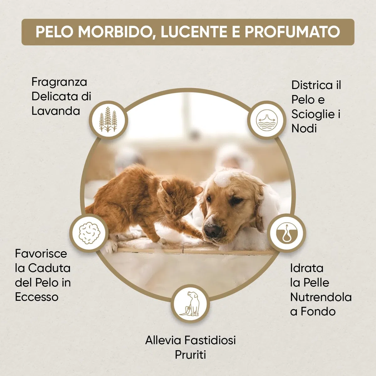 Balsamo per Cani e Gatti 500ml, Oli Minerali, Olio di Cocco, Avocado, Sciogli Nodi Pelo Cane e Gatto Lungo, Corto, Balsamo Cani per Toelettatura, Fragranza di Lavanda, PH Neutro, Vegano, con Dosatore