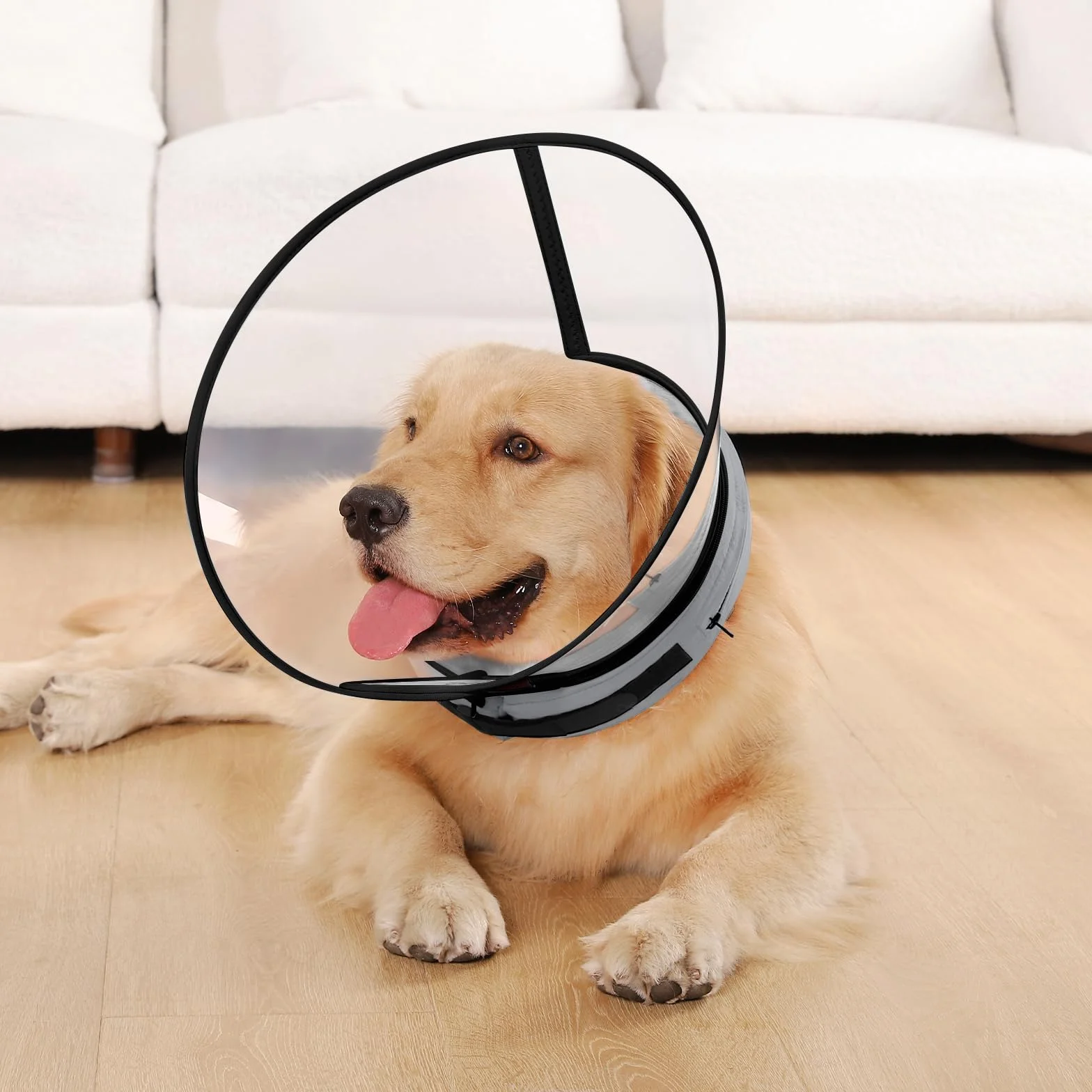 Collare Elisabettiano Cane Morbido, Alternative ai Collare Gonfiabile Cane, Collari Elisabetta Cani con Nucleo in Schiuma, Collari Protettivo Regolabile Cani Anti-Leccamento (Grigio, Size 7)