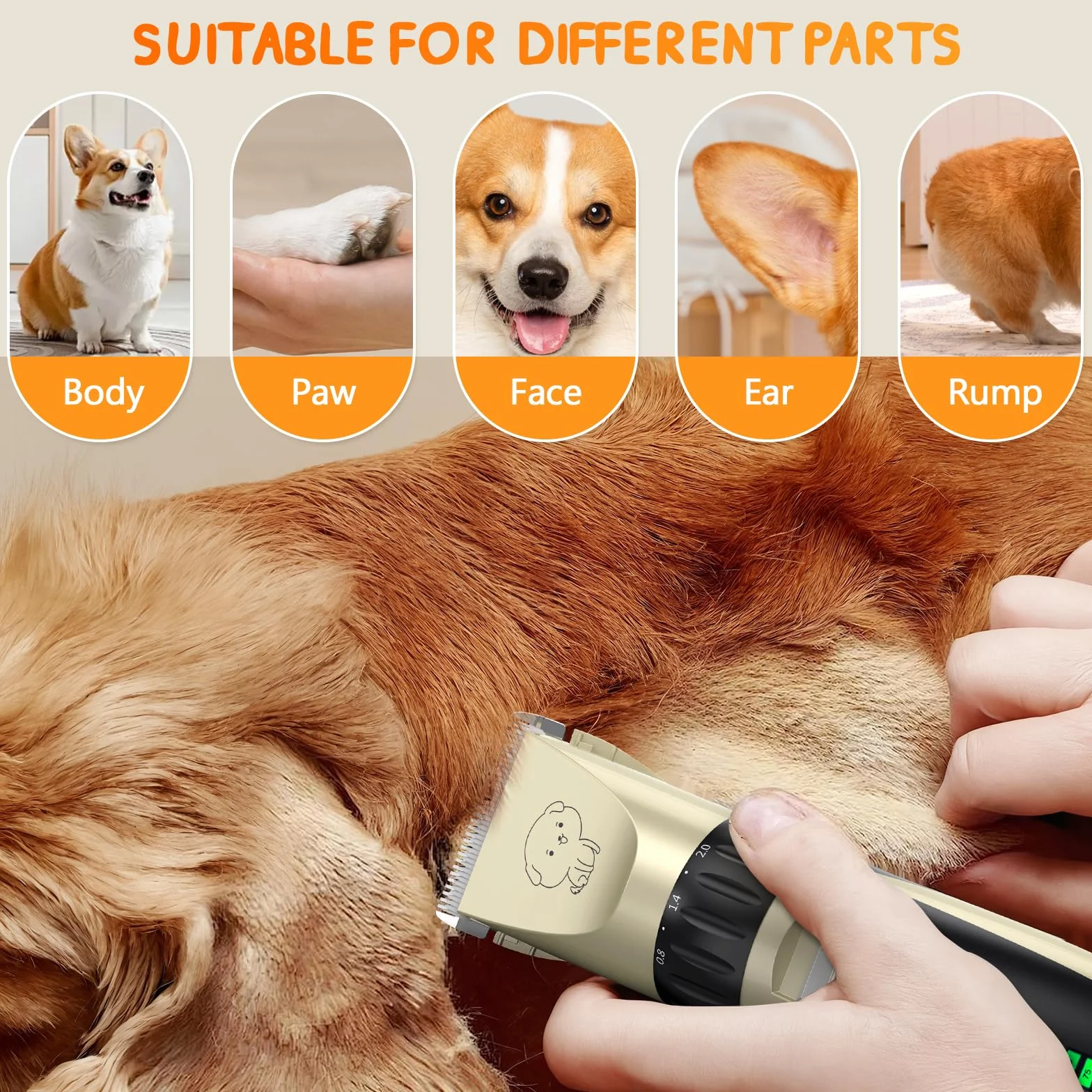 YAZEKY Tosatrice per Cani Professionale, Silenzioso rasoio elettrico per cani, Tosatrice per cani/Gatti Pelo Lungo Ricaricabile con Toelettatura Accessori (Oro)