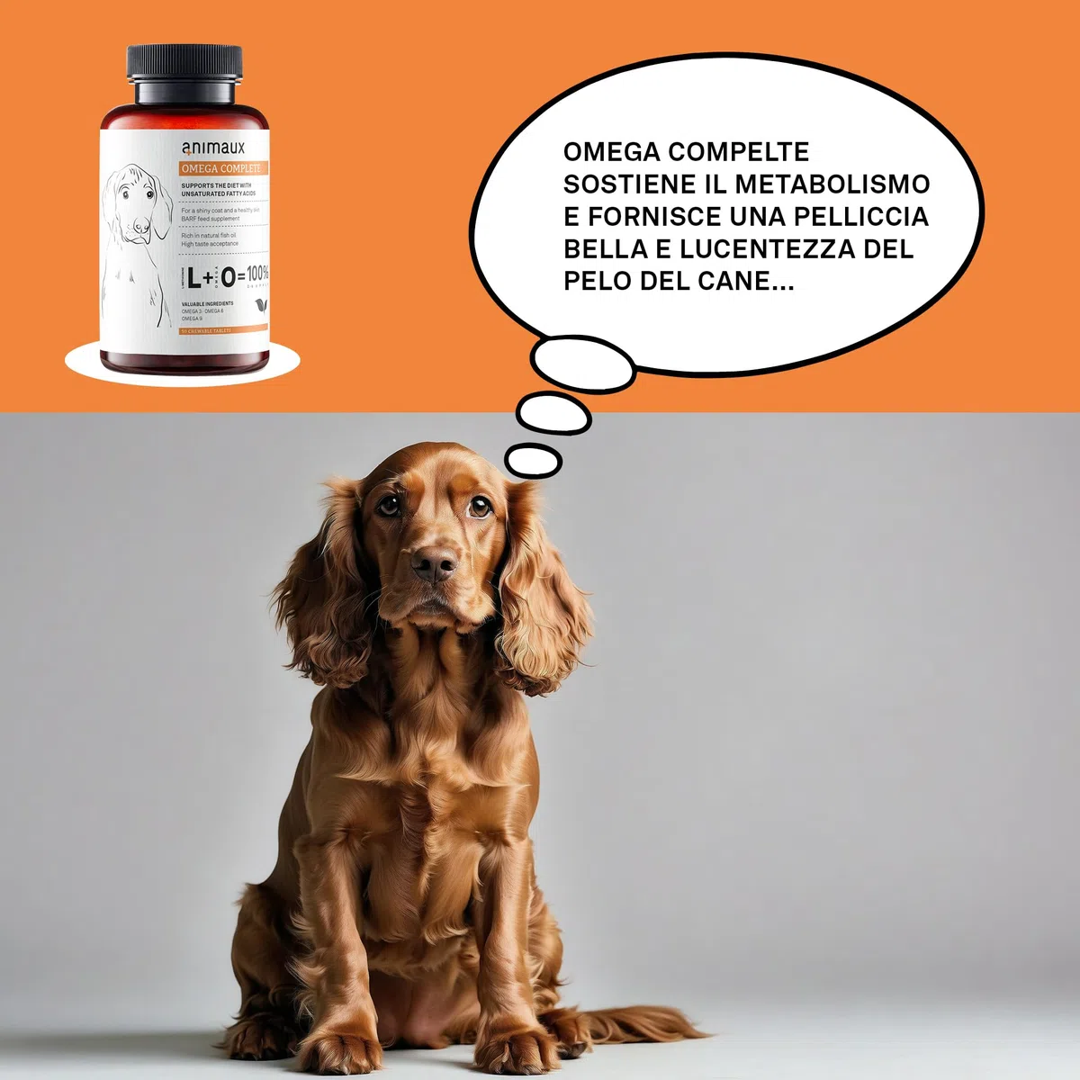 Omega 3, 6 & 9 per Cani - 50 compresse da masticare - Olio di Pesce Naturale con acidi Grassi per Metabolismo, Formazione di ossa, Pelle e Pelatura - animali Omega Complete Dogs