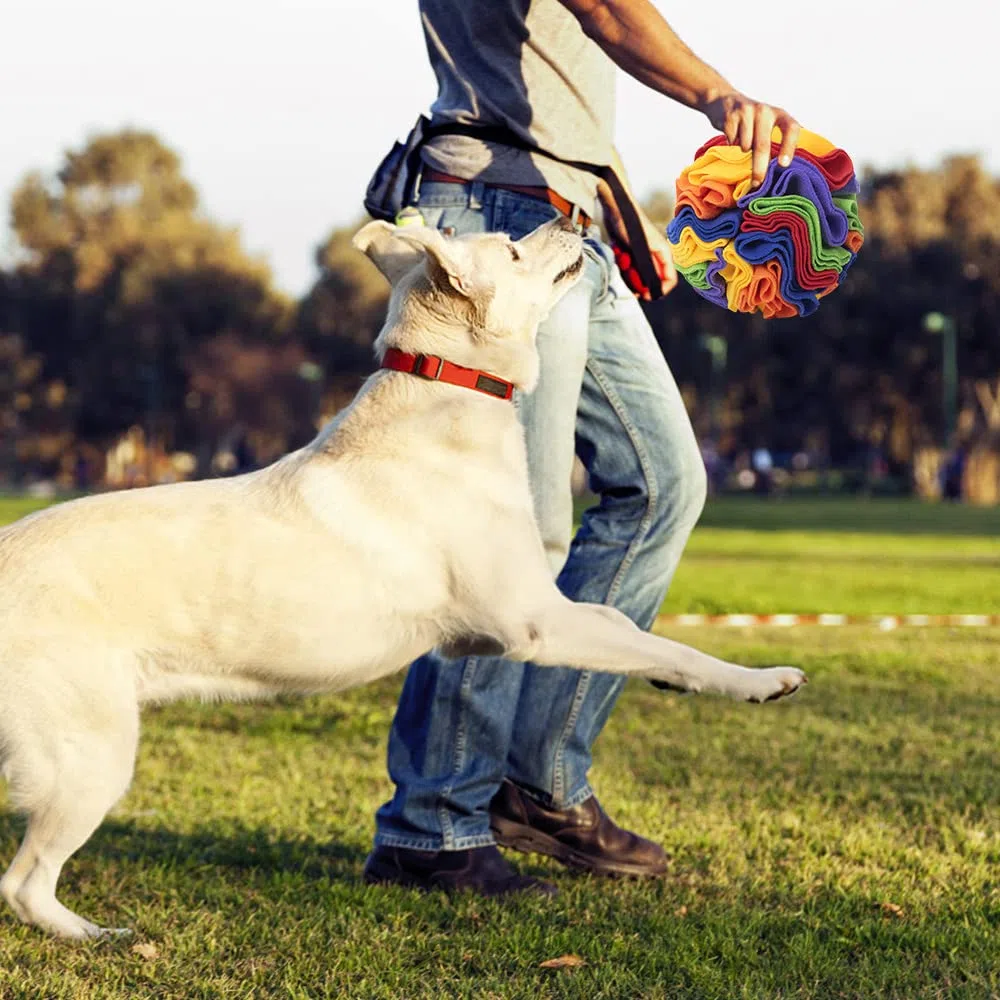Sniffing Ball per Cani, Tappetino Snuffle Interattivo, Gioco Sfera Puzzle, Tappeto Nascondi Cibo, Addestramento per Cani di Piccola e Media Taglia