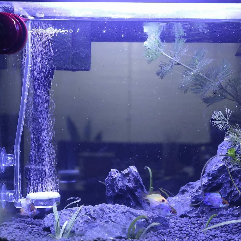 boxtech Pietra ad Aria per Acquario, Acquario Diffusore di CO2 Kit, diffusore Silenzioso Super Alto per Ossigeno disciolto per acquari e idroponici con valvola di Controllo e Ventose(35mm)