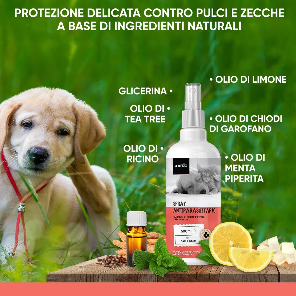 Antiparassitario per Gatti Cani 500ml, Spray Antipulci per Cani e Gatti Ricco di Oli Naturali, Antiparassitario Cane e Gatto Contro Pulci, Zecche, Pidocchi, Zanzare, Antipulci Cane e Antipulci Gatto